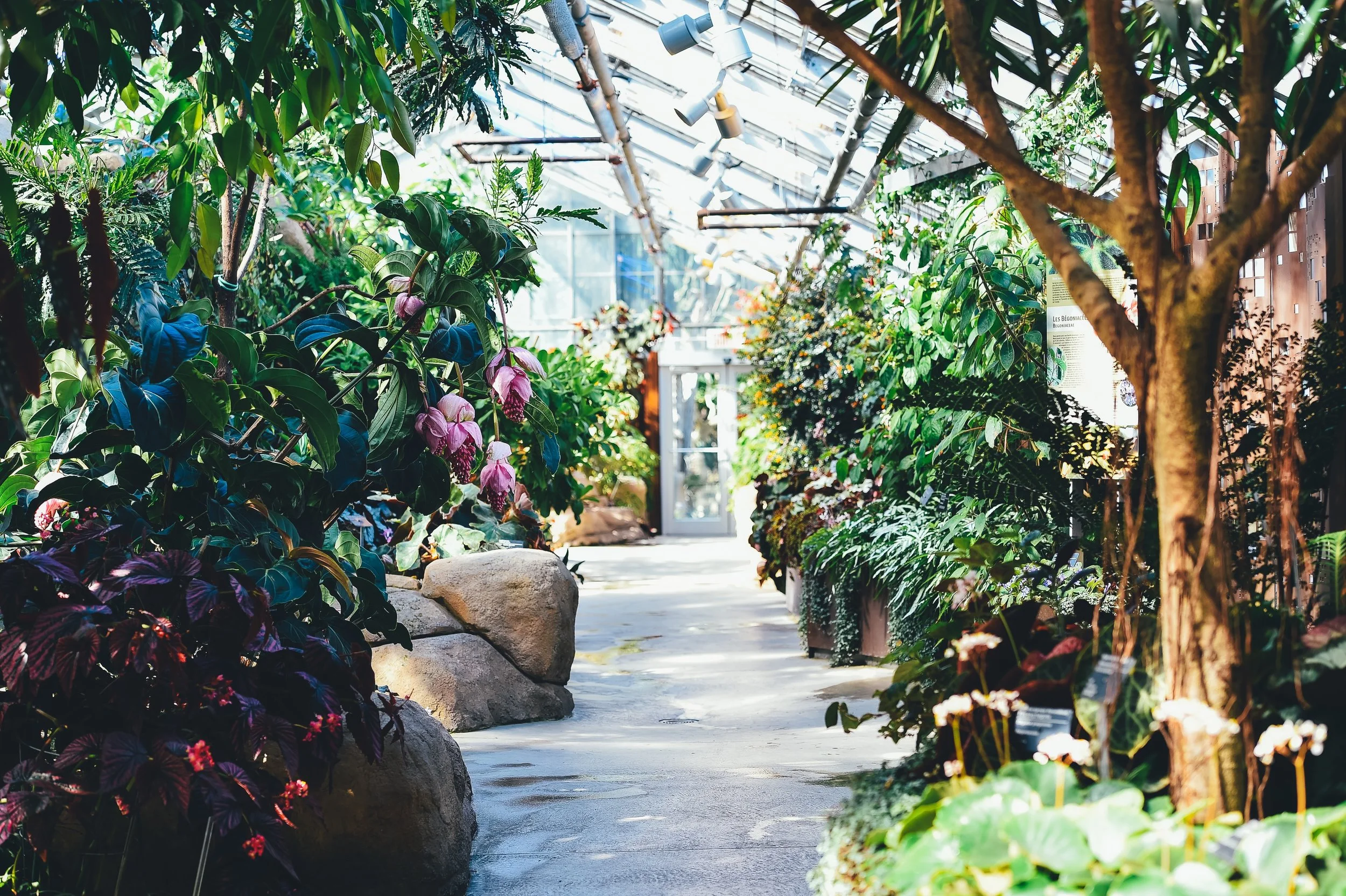 Philosophy in the Garden