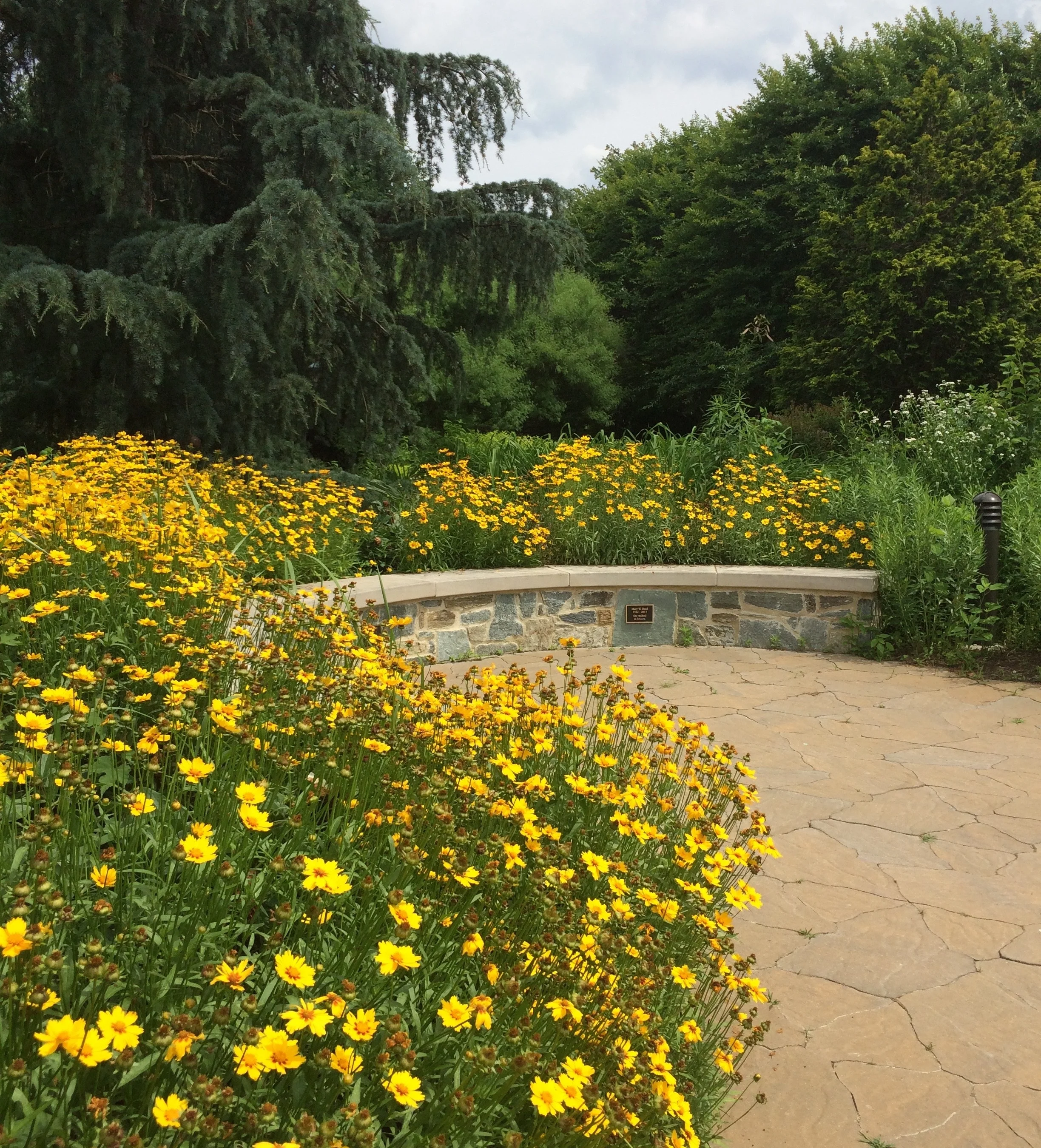 flowers+and+path.jpg
