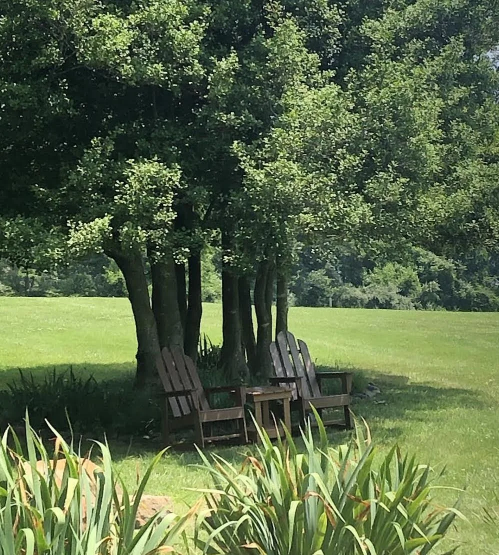 Few Words, More Meaning