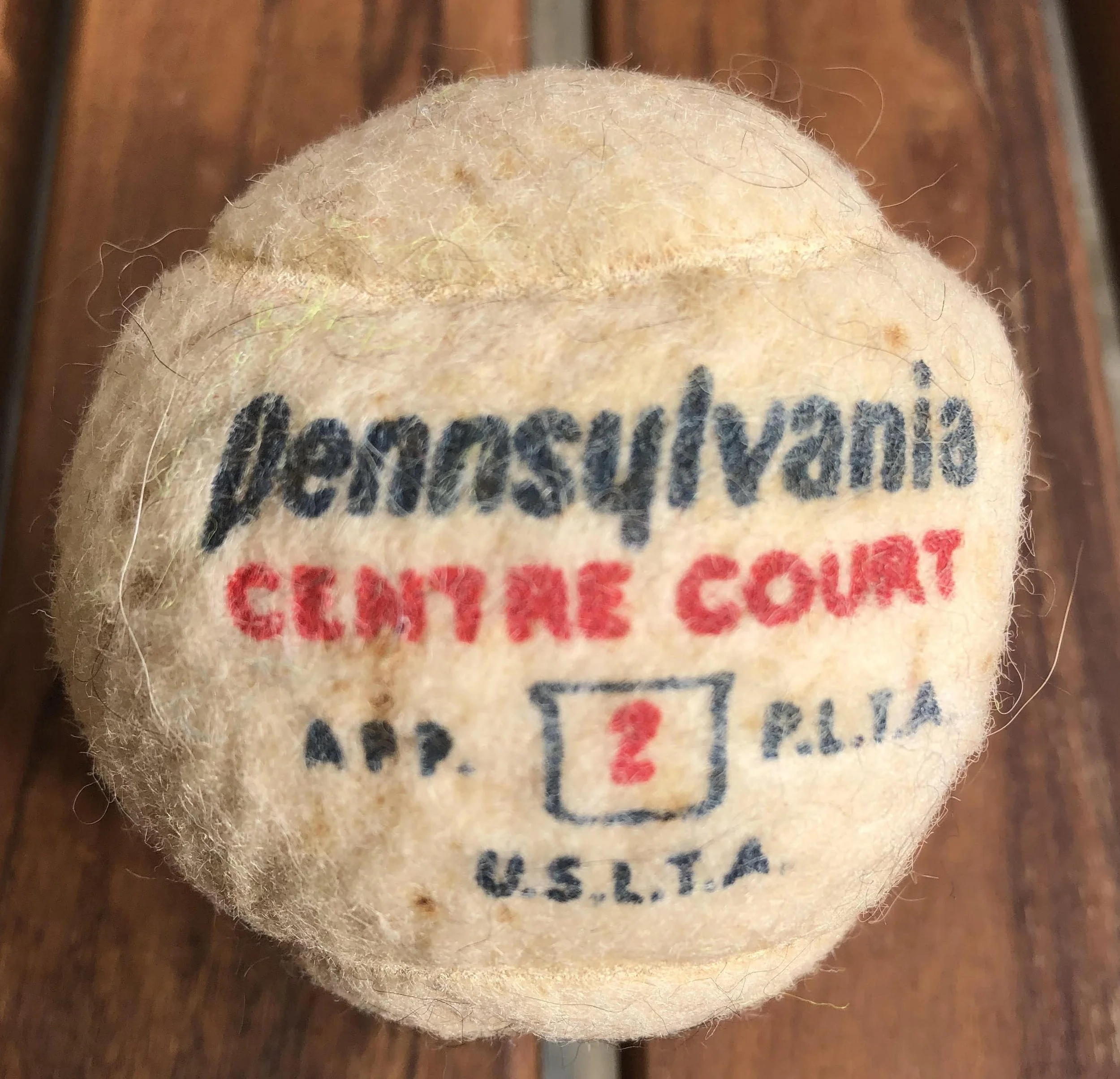 Frolic with Leaving 1203 in a Bookstore-Garden