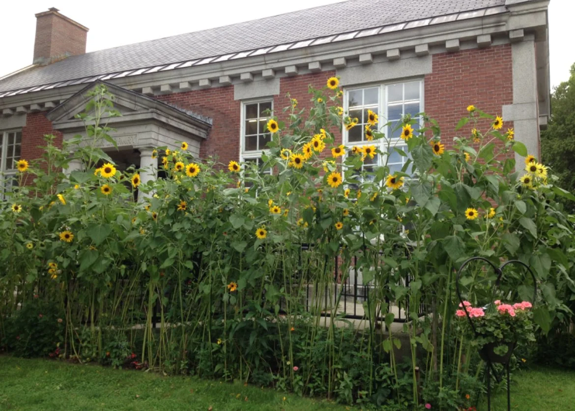 Leaving 1203 Winds Its Way to Windsor, Vermont