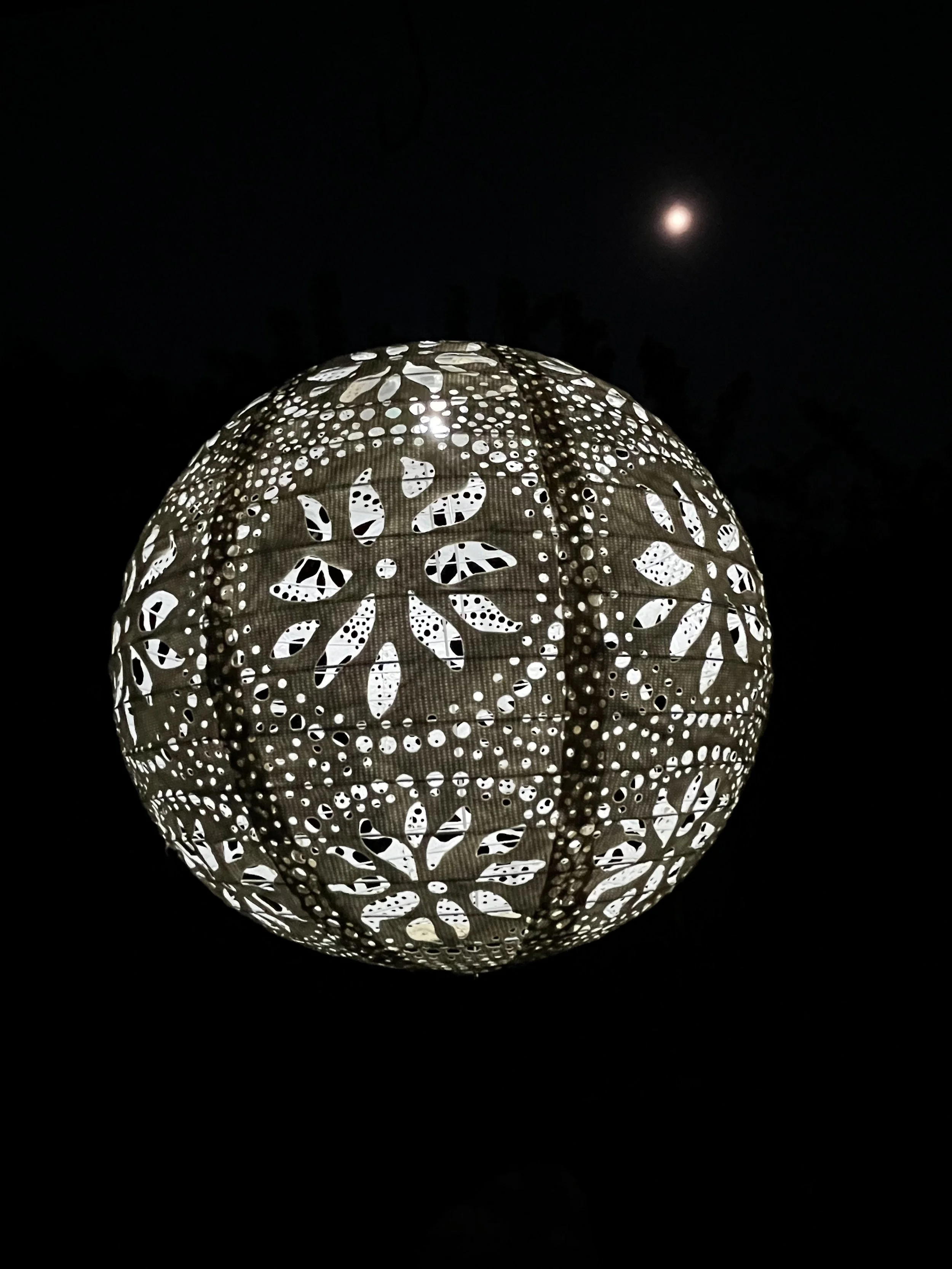 1203’s Marietta Gives Thanks with Branchlands Residents