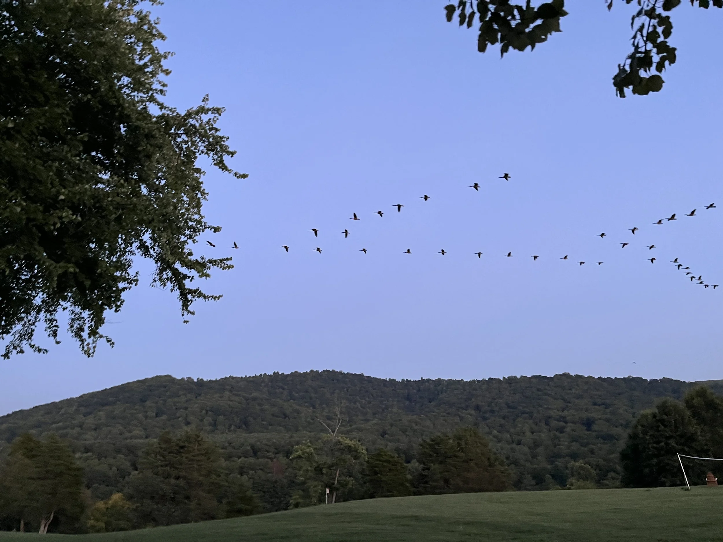 You, Me, and the DNC