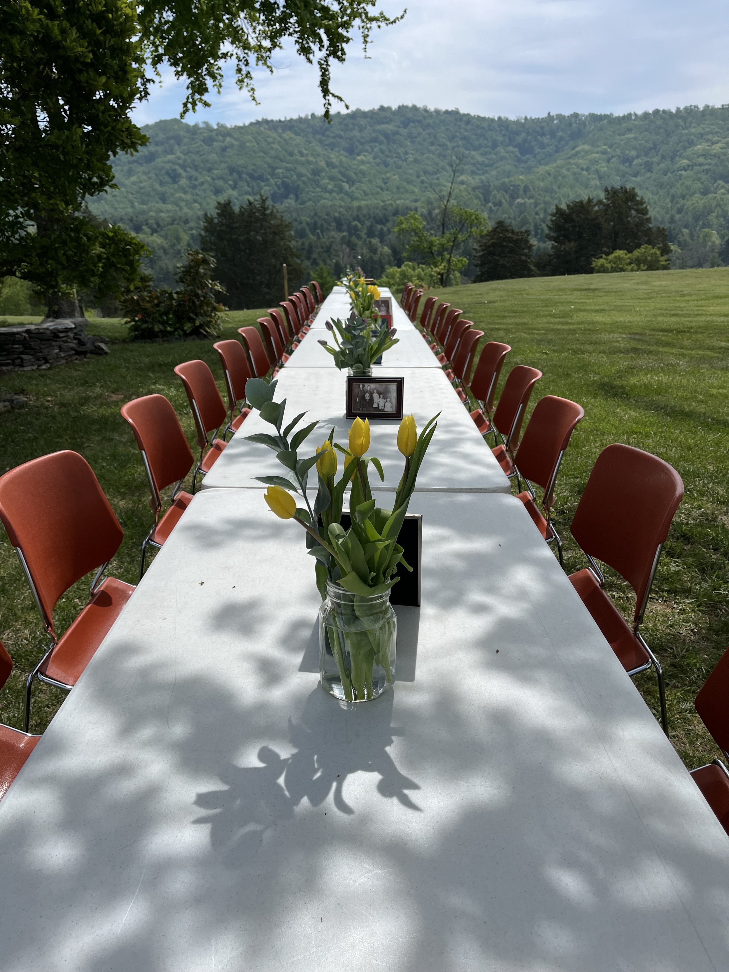 Plum's Garden at PVCC, April 24, 2025