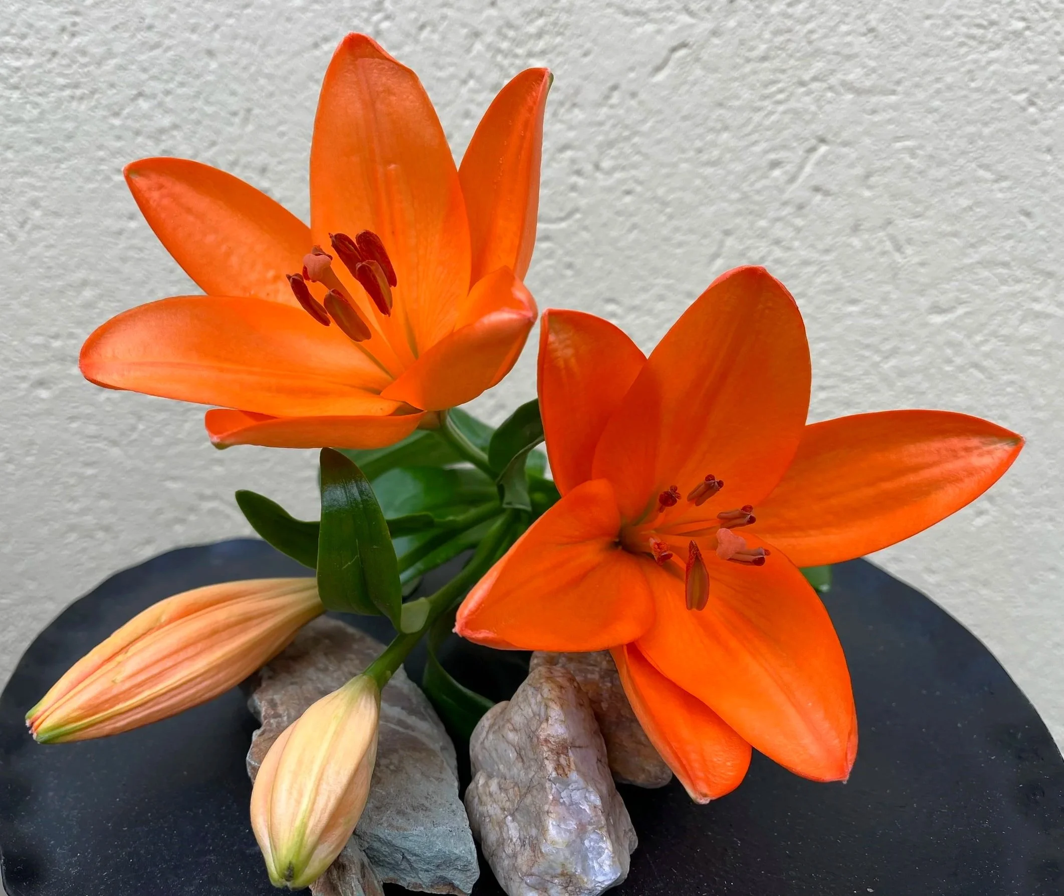 You Have to Imagine It