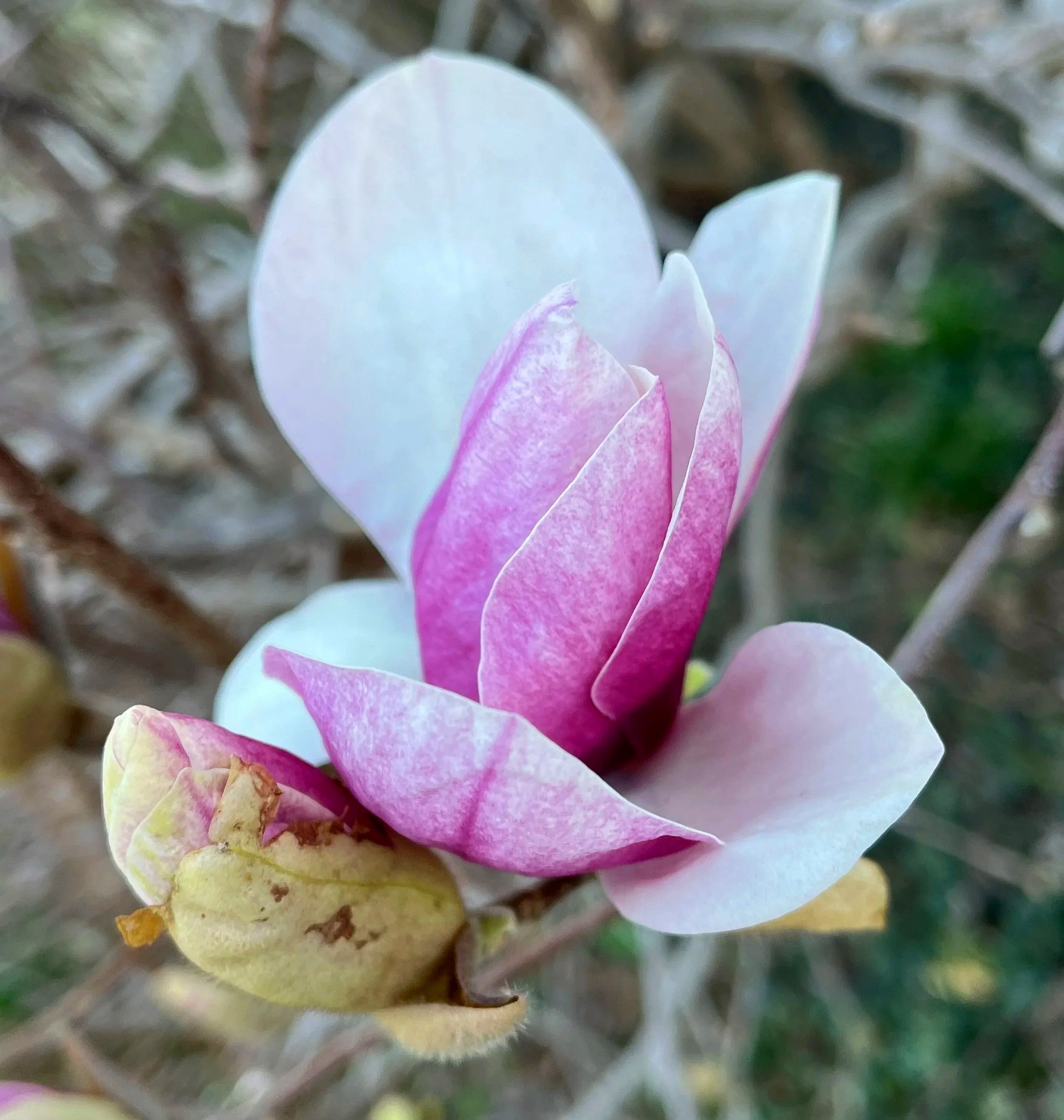 Don't You (Dare) Give Up