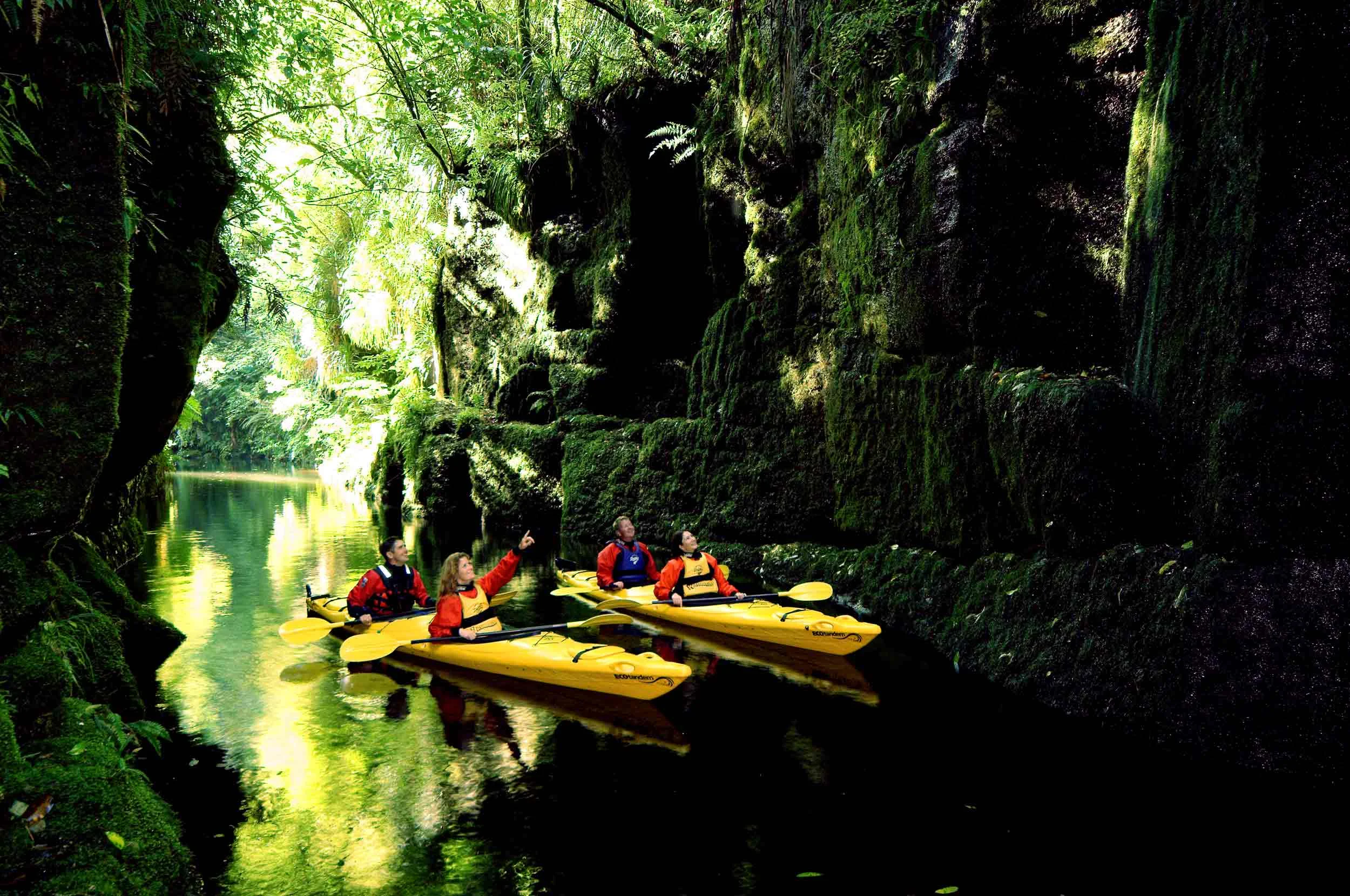 Waimarino Kayak Tours