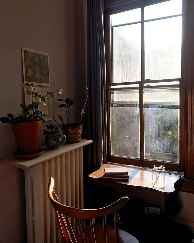 Coronavirus Chronicles: my plant names from left to right - Bette, Lucille, and Eleanor. Thanks to @cmciani for reminding me when I forget 🤪🌸
.
.
.
#magic #extraordinaryintheordinary #challengingAF #opportunities #bedroomgoals #myroom #thatlighting