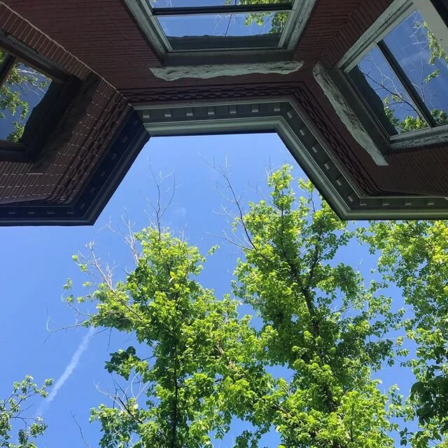 Scenes from my afternoon run: it&rsquo;s an upside kinda world sometimes but there are just as many moments of grace, beauty, hope, joy, and comedy. It&rsquo;s always a choice where we put our attention. For me, it&rsquo;s a practice and everyday I c