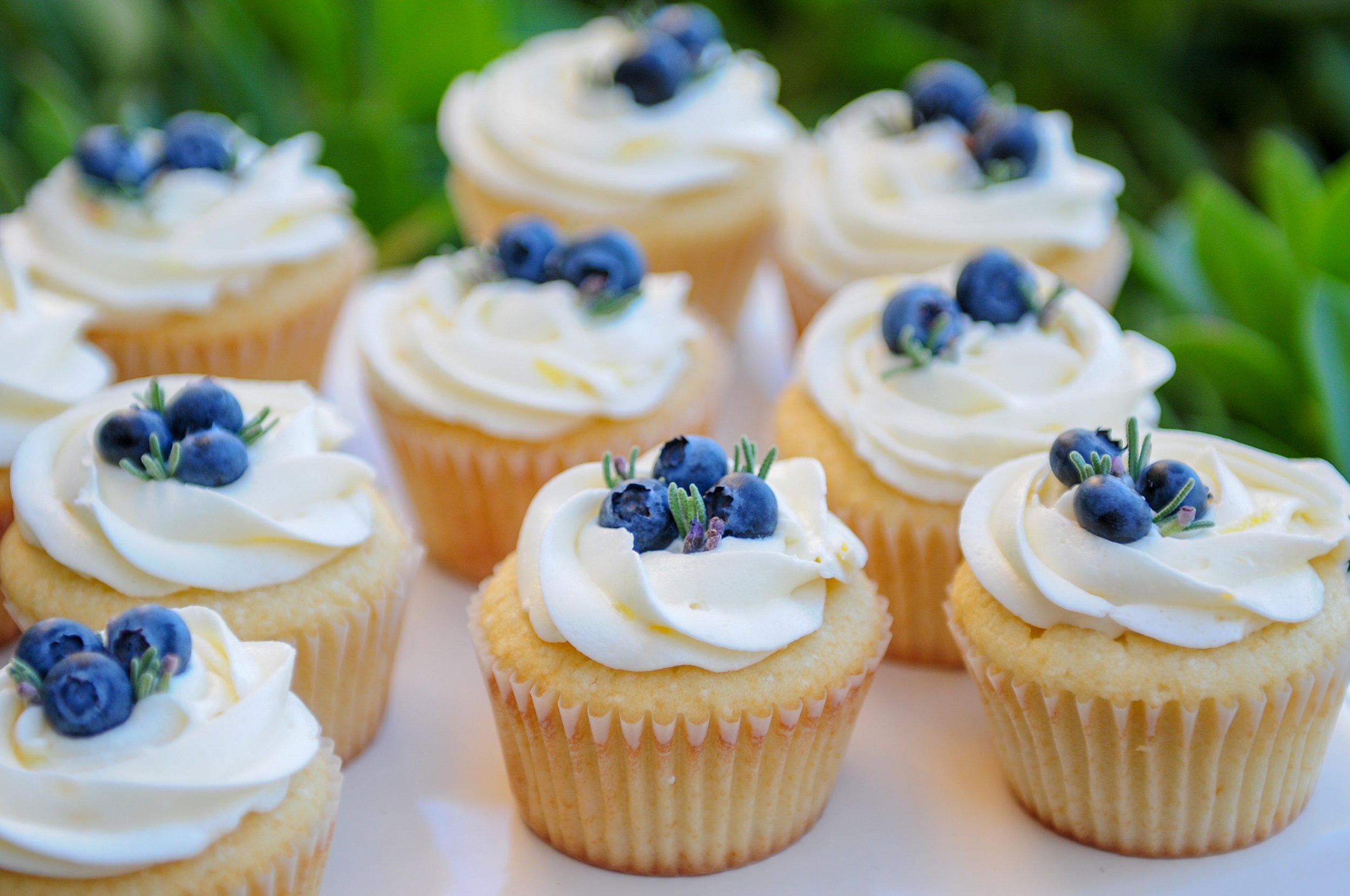 BlueberryCupcakes.jpg
