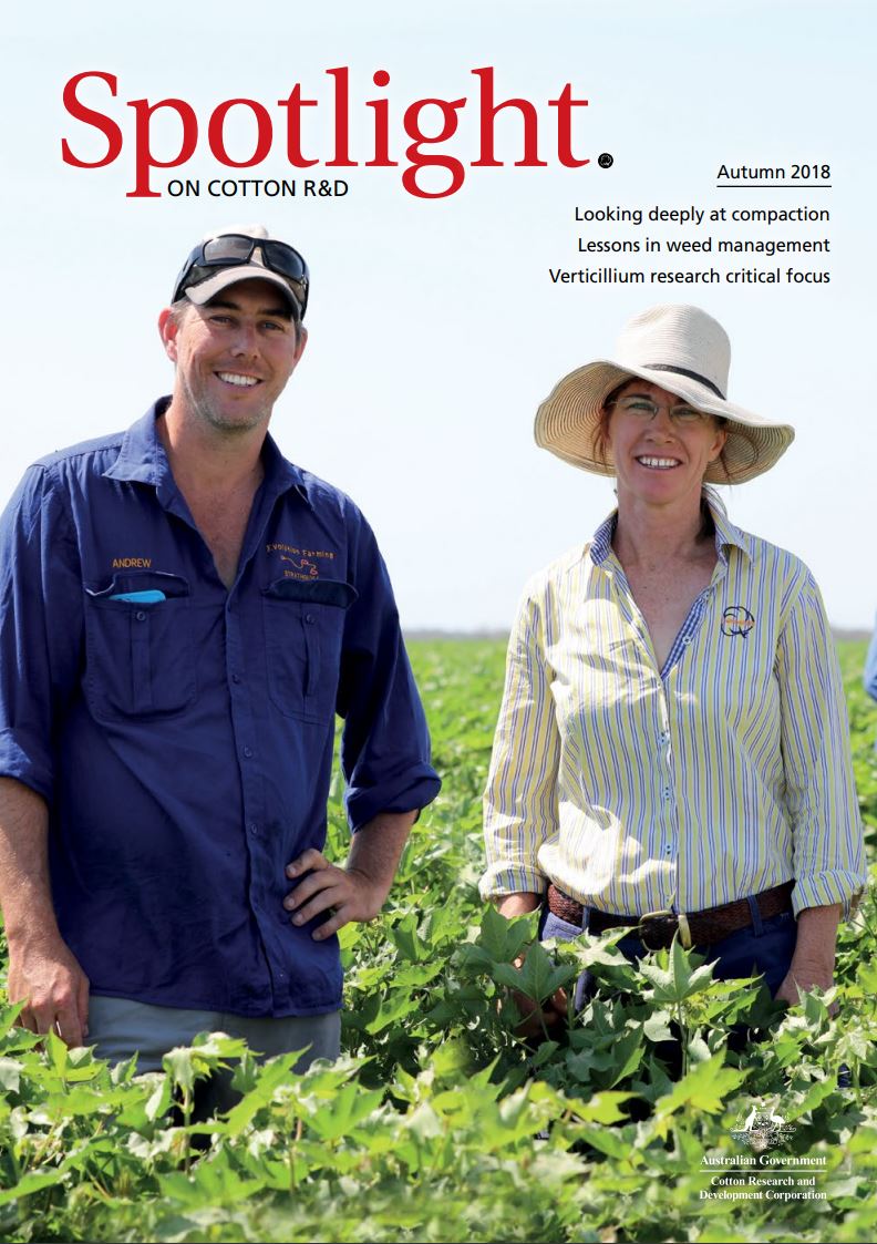 Electricity or diesel: which is best for you?