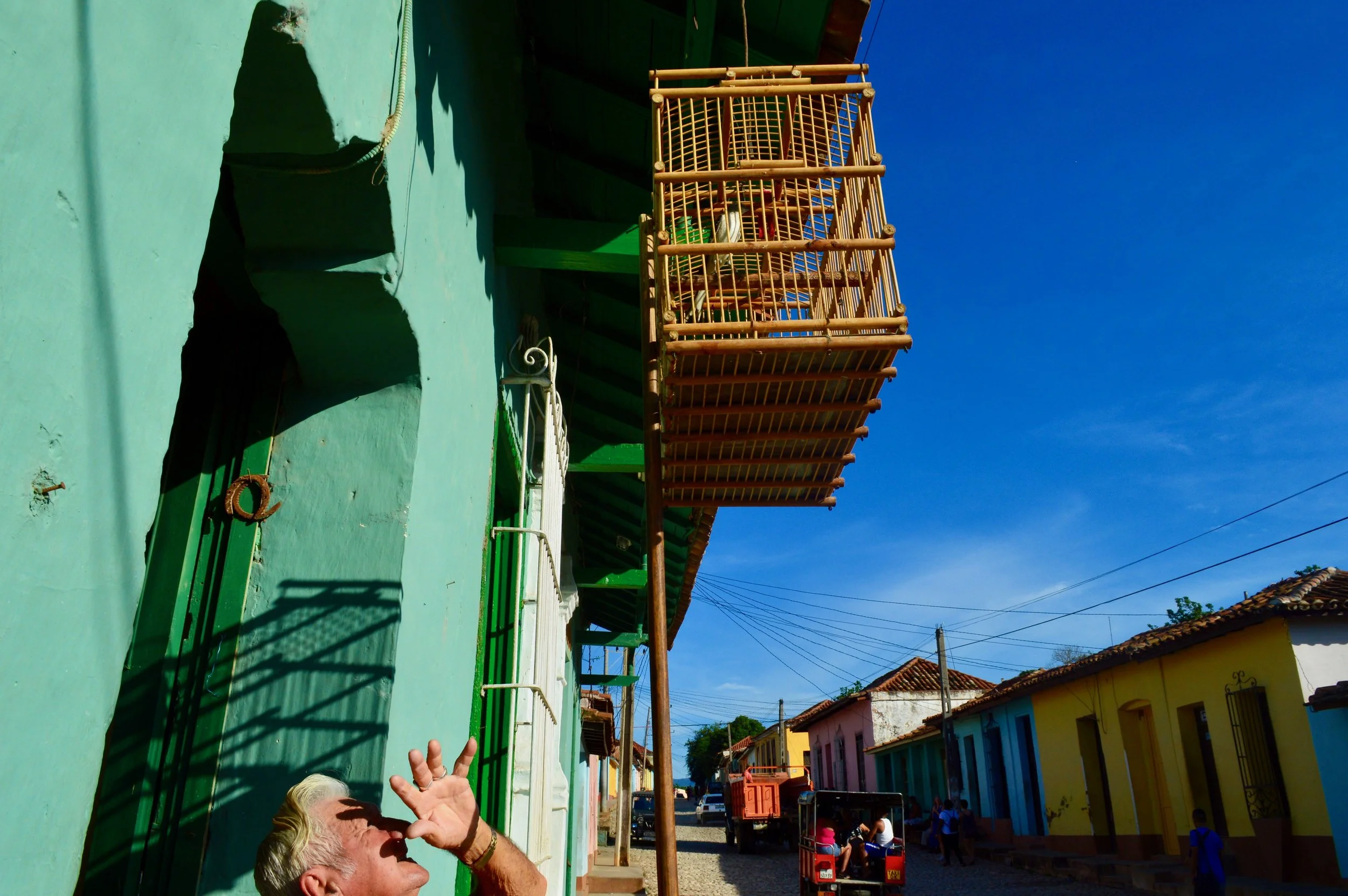 Trinidad- Viejo y pájaro.jpg