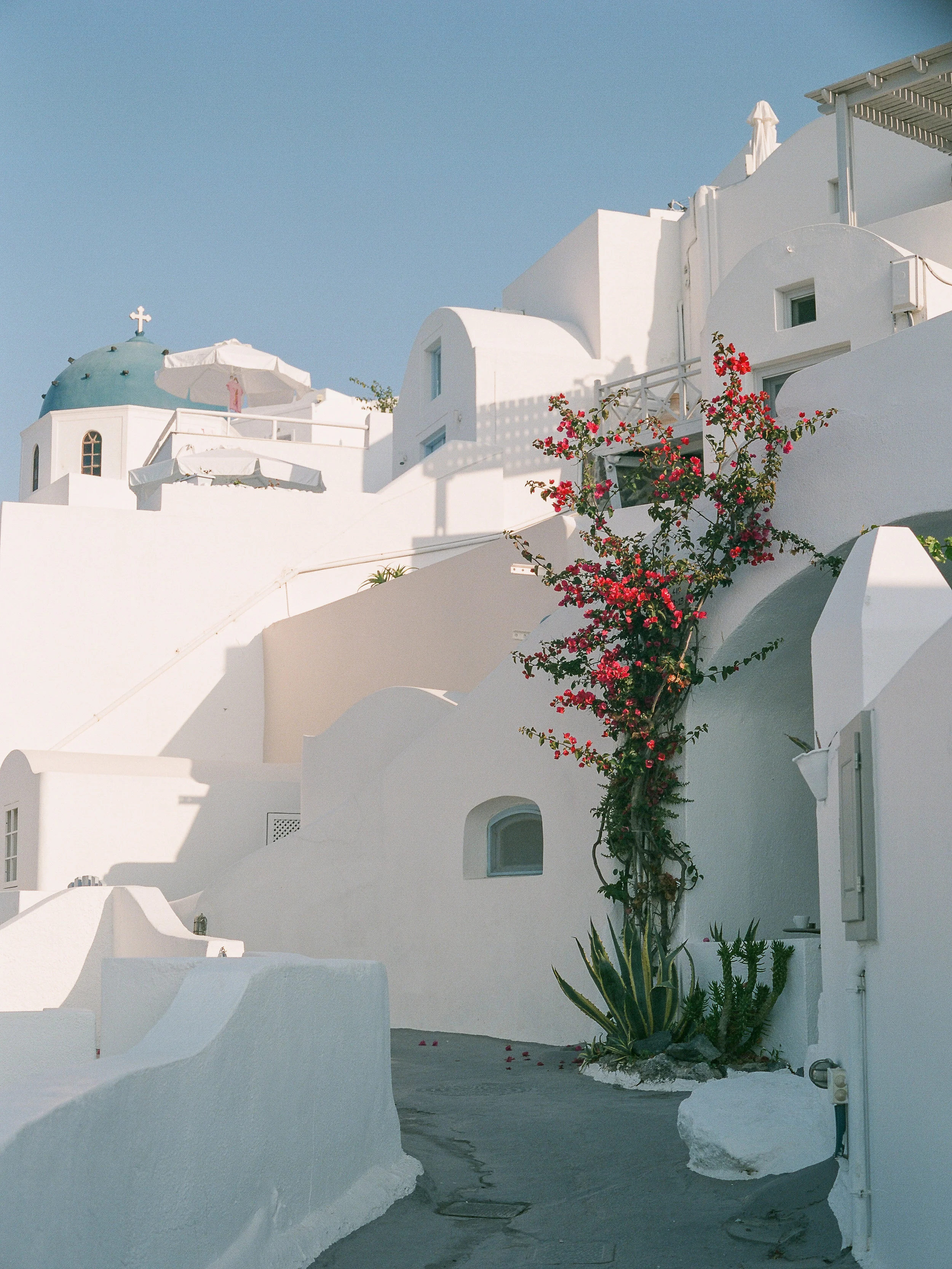 0010_AJw_film_BM.jpg