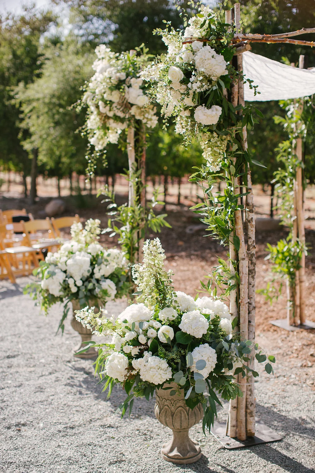 Paul+Eliav-2294.jpg