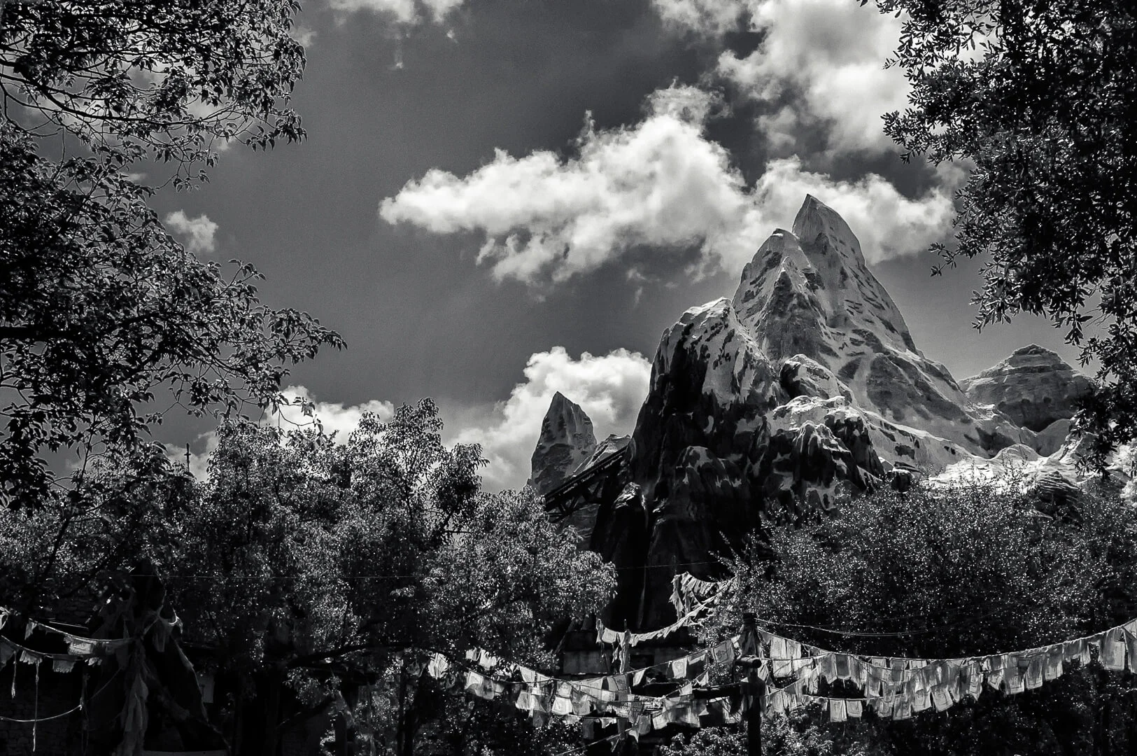 Expedition Everest-0001-Brian Suman Photography.jpg