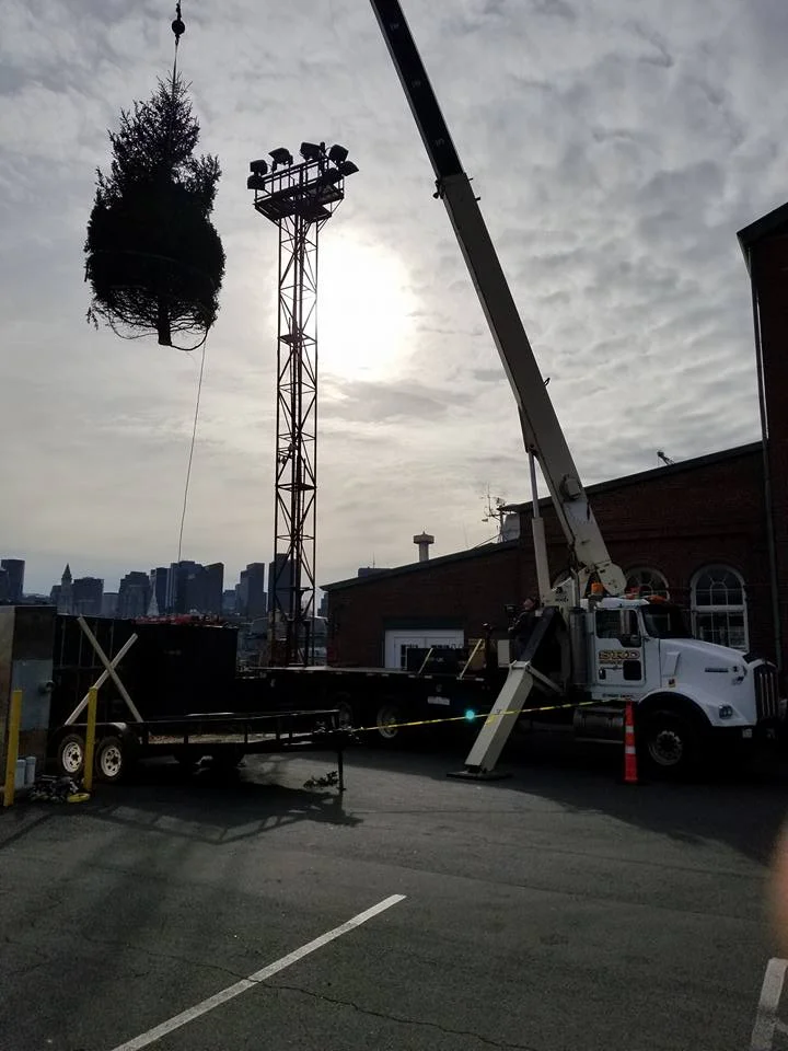 SRD Enterprise Xmas tree.jpg