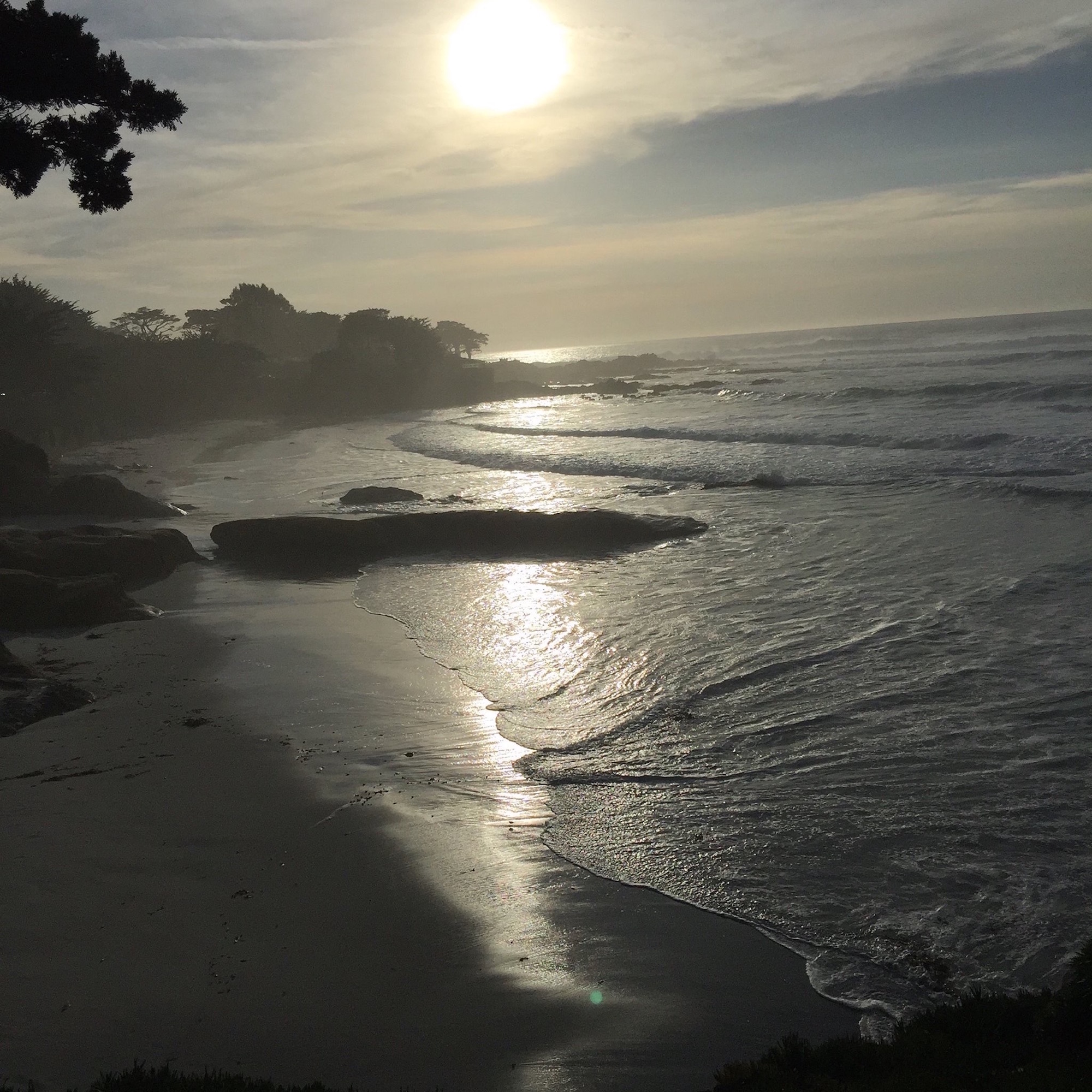 Carmel.jpg