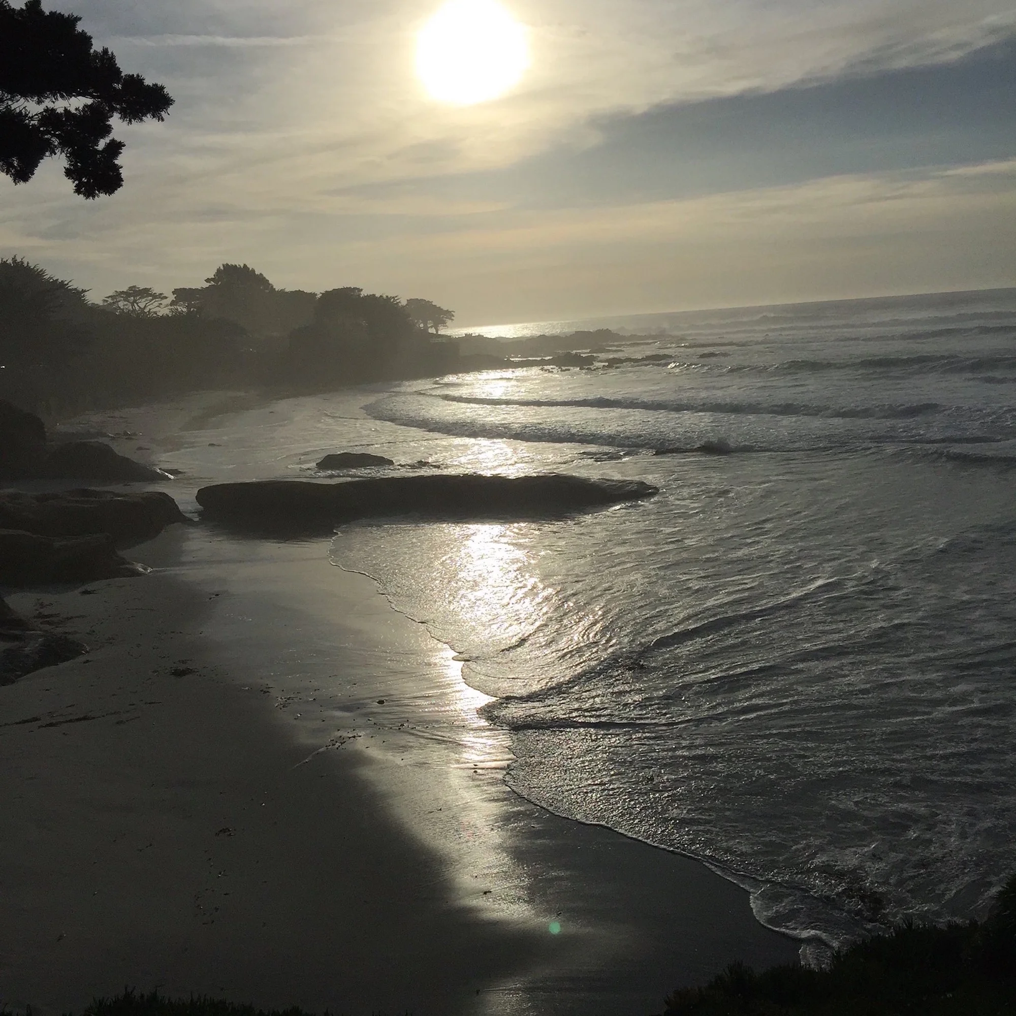 Carmel.jpg