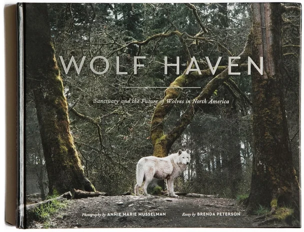 Wolf+Haven+cover+final.jpg