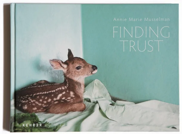 Finding+Trust+cover+final3.jpg