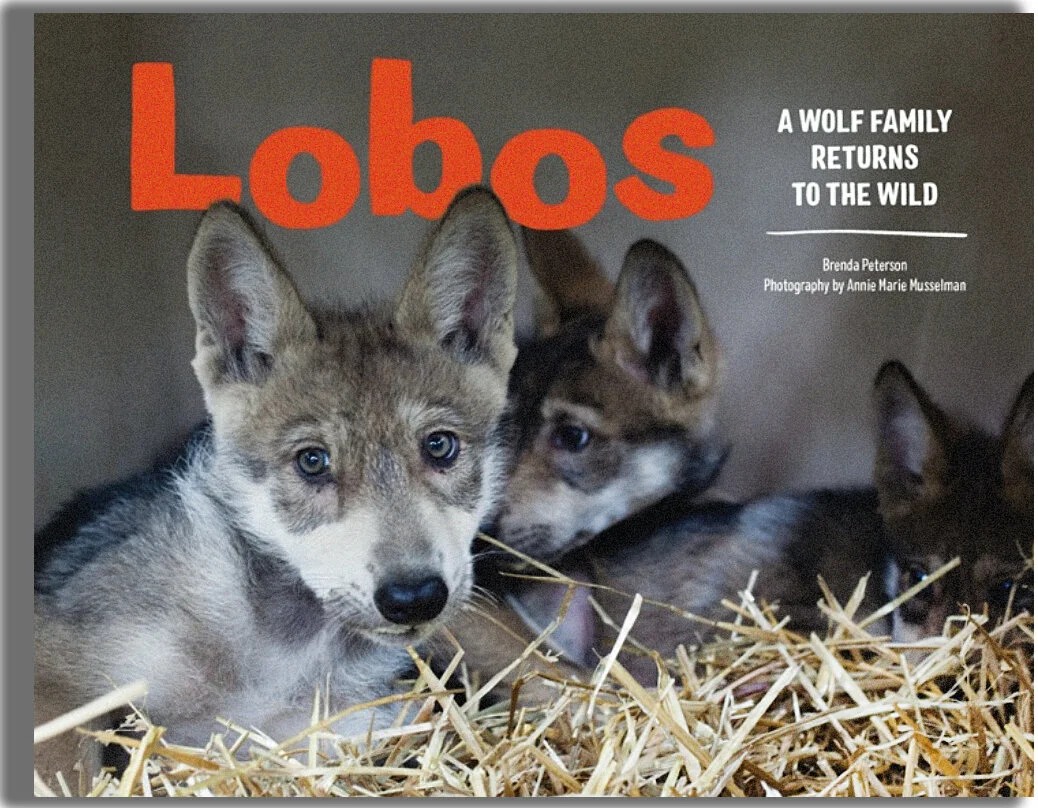 Lobo Book Pdf – Lobo (Collection) (1990-2015) – QTWWM