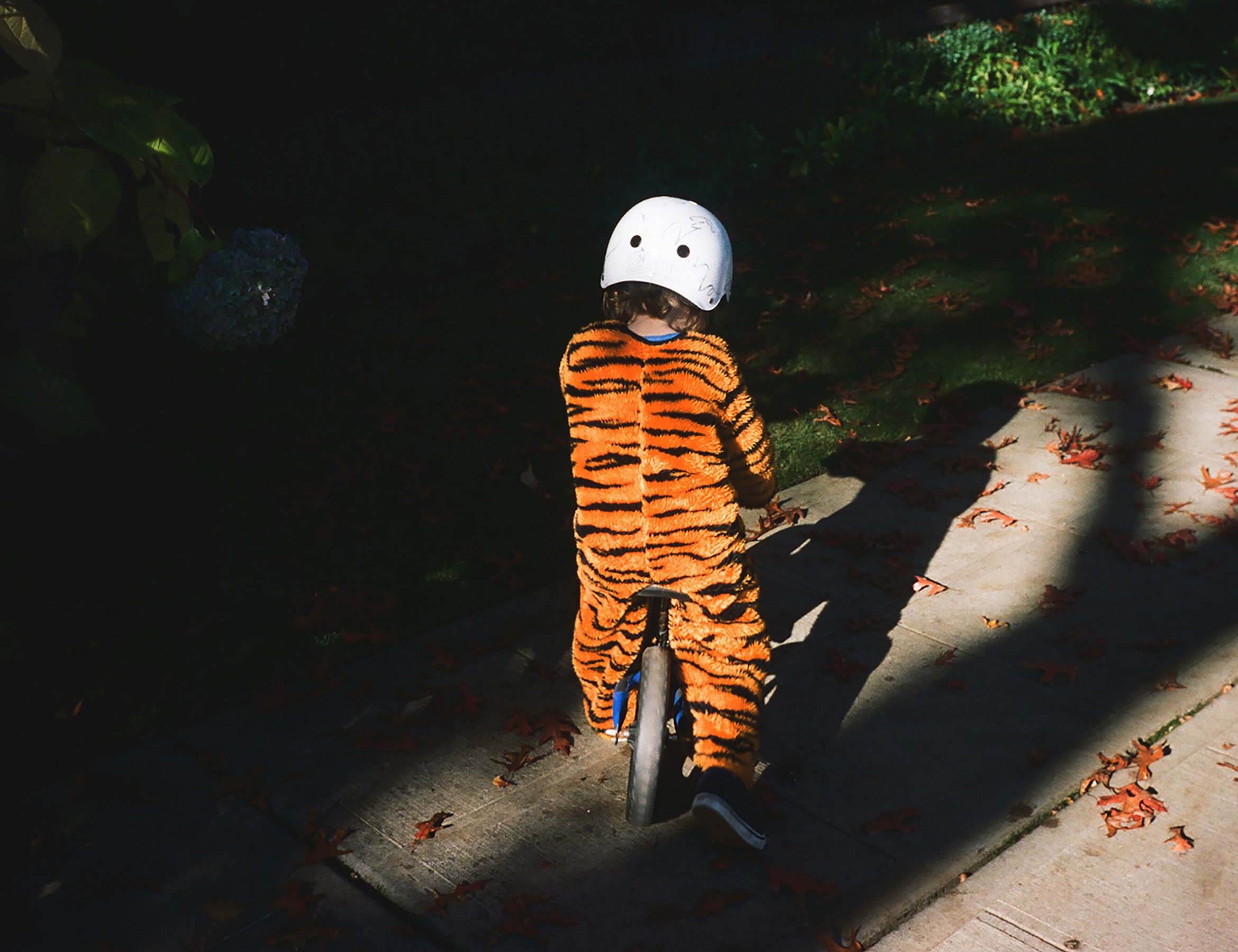 Jude in a tiger suit.