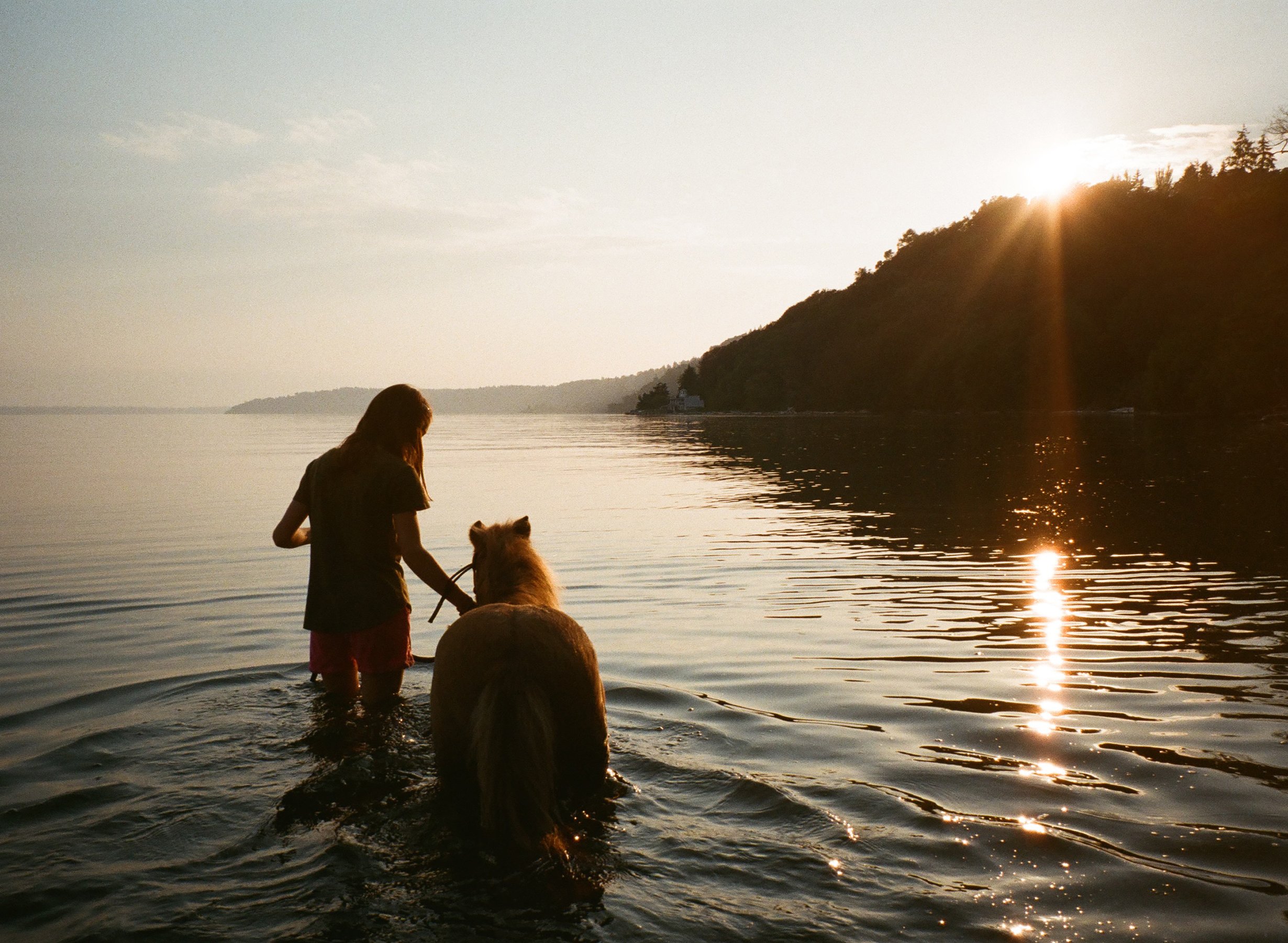 Maggie and Starbuck in the Puget Sound for Airbnb