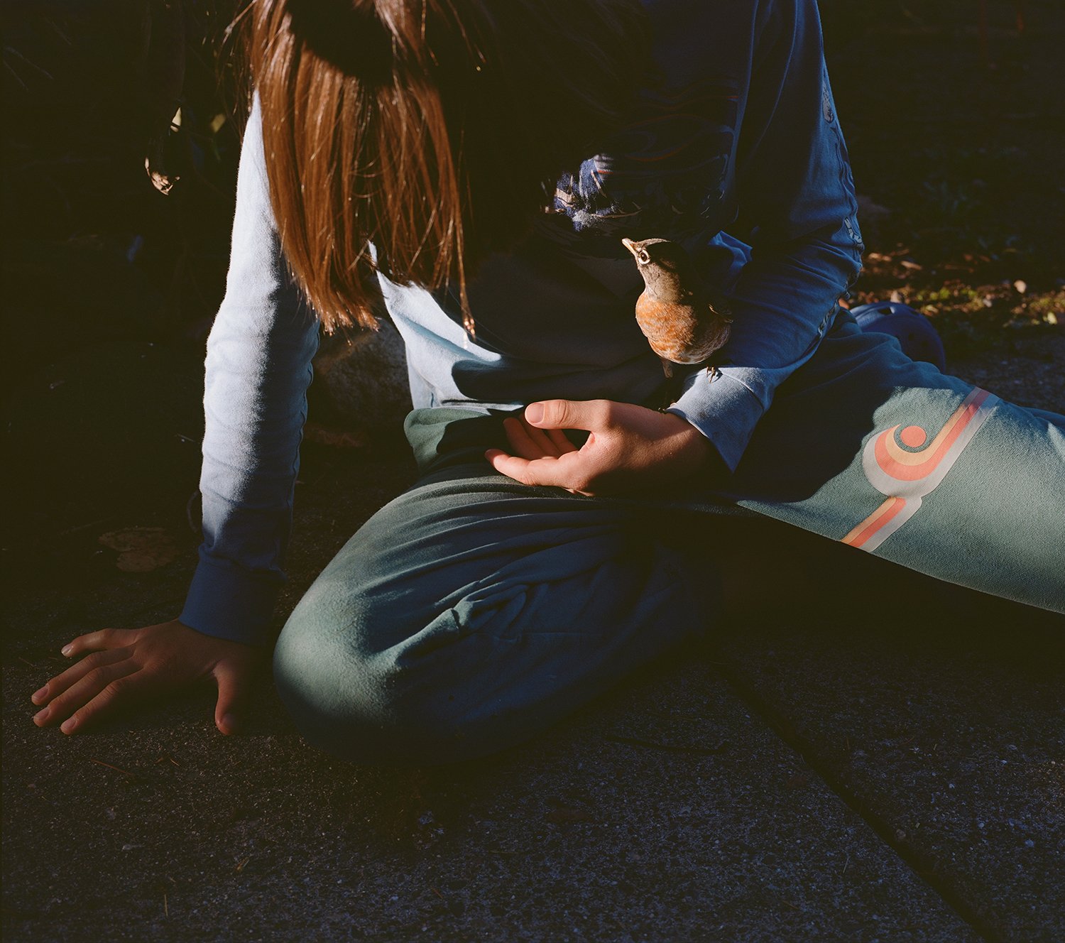 And Then She Flew Away, 2025