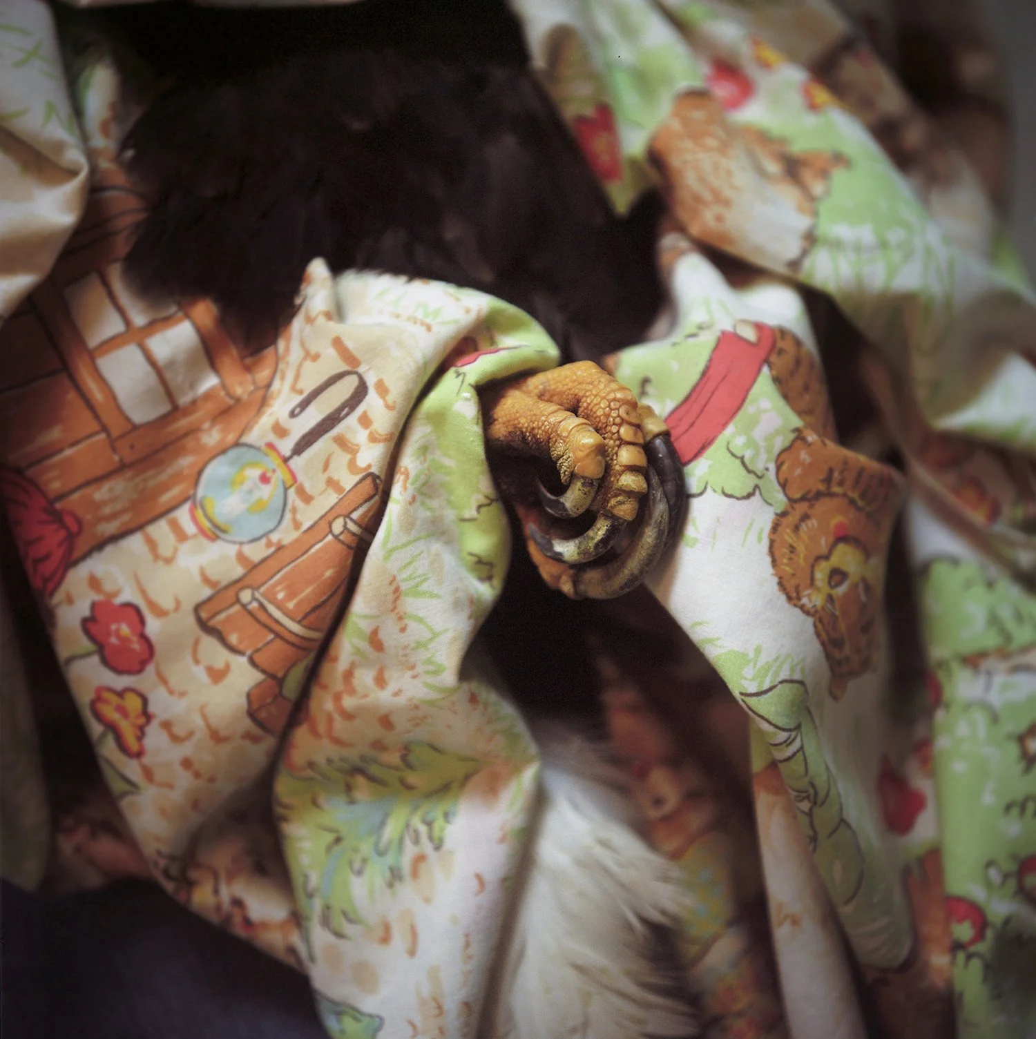 Eagle Talon, Finding Trust Series 2010