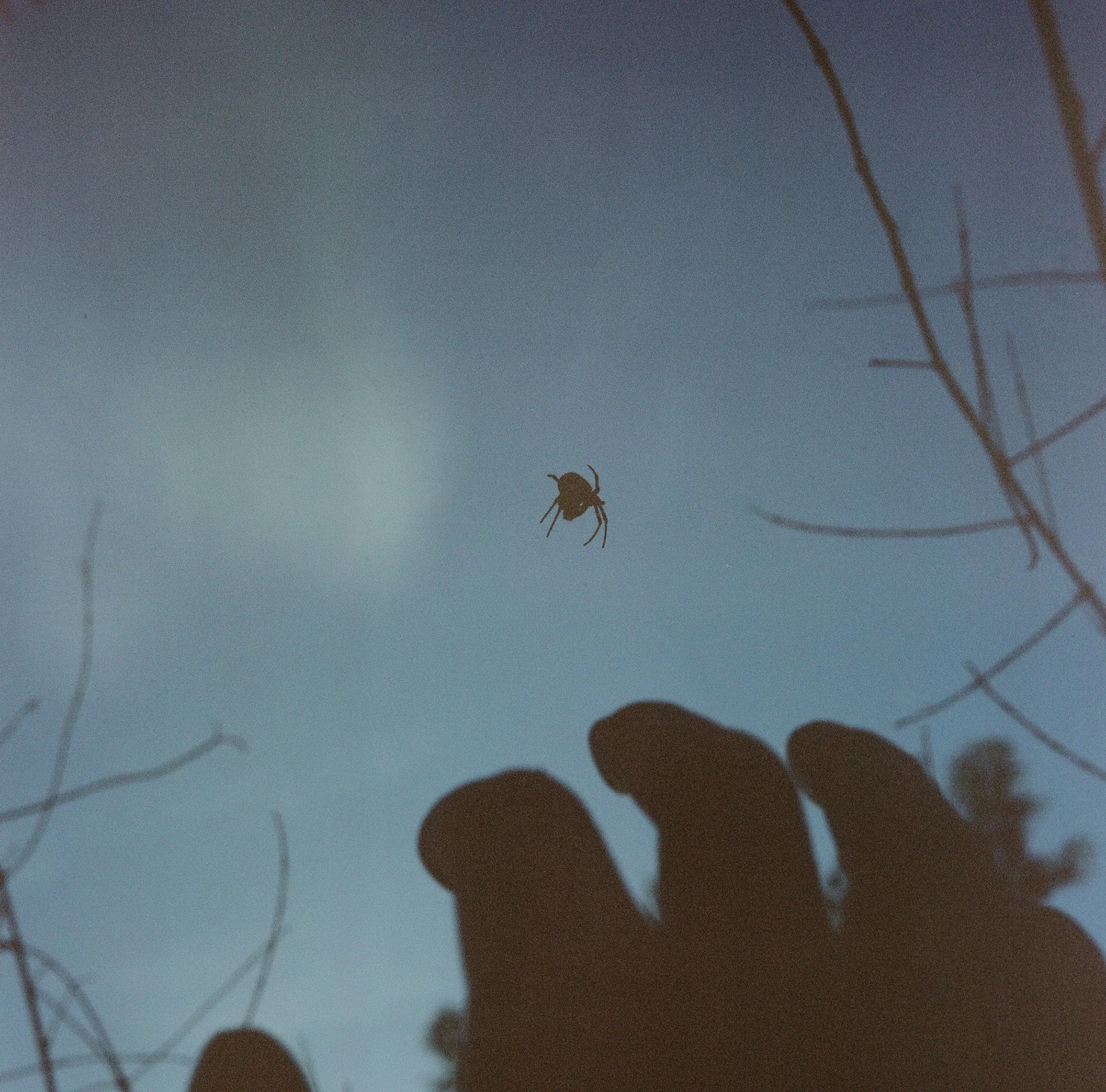 Jude reaching for a spider, 2025