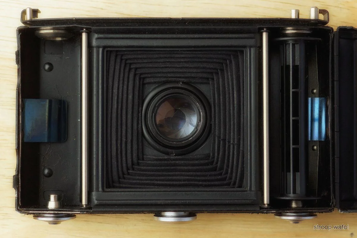 nettar-zeiss-filmvacation-lucas-compan.jpg