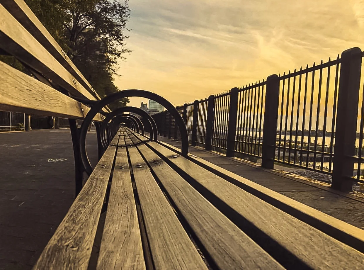 can you imagine how many stories these benches have witnessed since1947, when the brooklyn heights promenade was opened to the public?