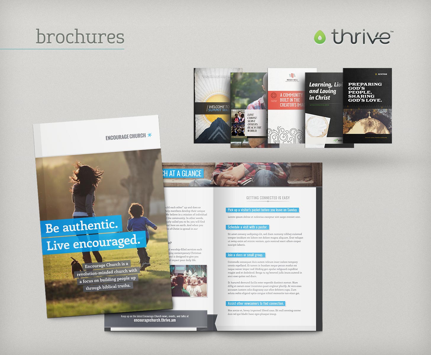 Thrive brochure themes