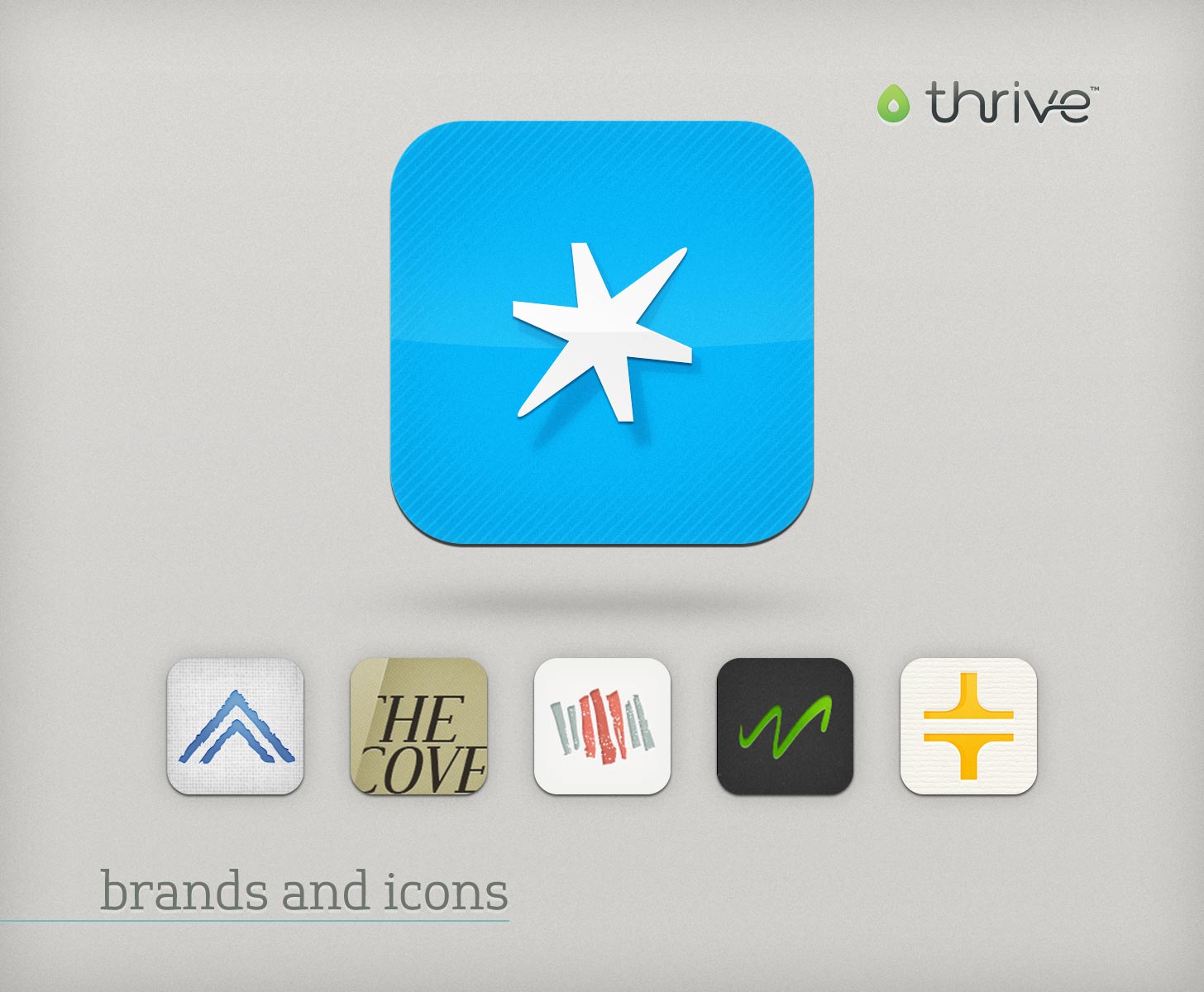 Thrive brand and icon themes