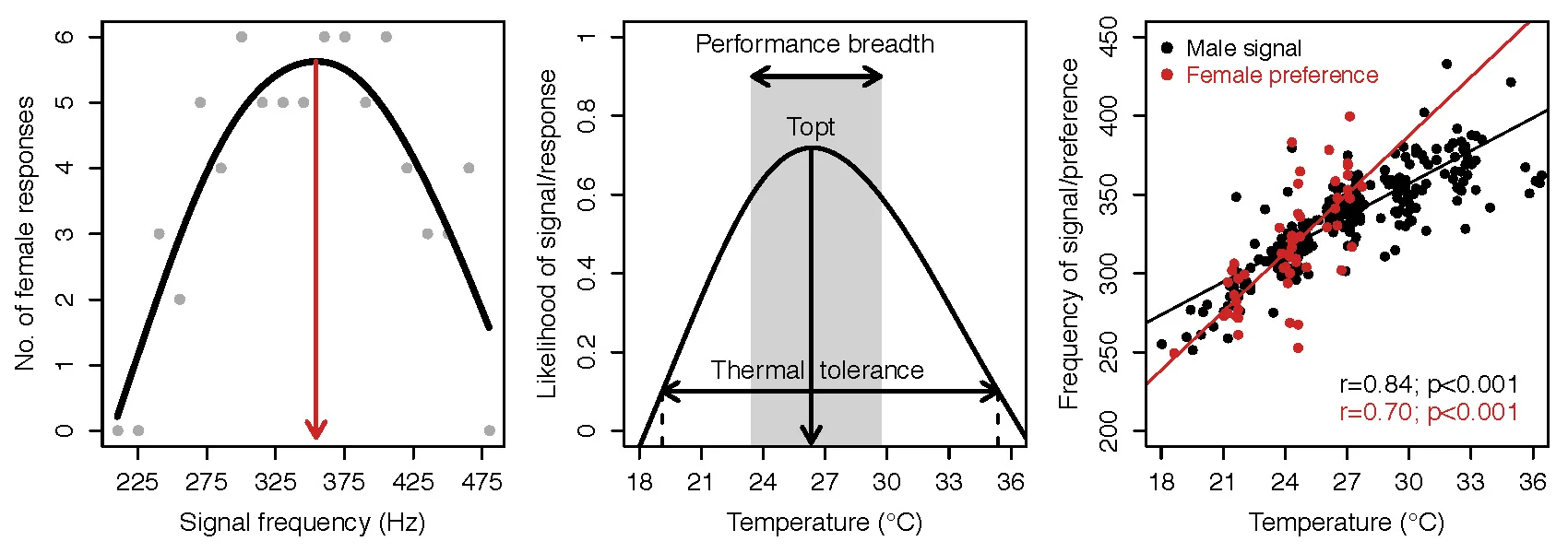 Figure Title Temperature variation and mating behavior in tree hoppers - Temperature influences almost every major biological process, and mating behavior is no exception. We currently have a multi-year project investigating genetic and plastic factors influencing patterns of mating in treehoppers across temperatures and latitudes. Proin facilisis elit vitae mollis faucibus. Proin vitae massa nec mauris dictum consequat. Maecenas congue non felis a malesuada. Phasellus ullamcorper laoreet felis eu viverra. In at tincidunt tortor. Praesent tempor eros vitae elit dignissim, vitae elementum dui dapibus. Duis tristique, ligula eget lobortis accumsan, nibh enim venenatis urna, a commodo elit ex ac urna.
