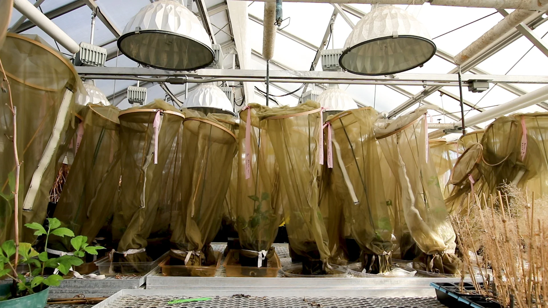 FF header_video still.jpg