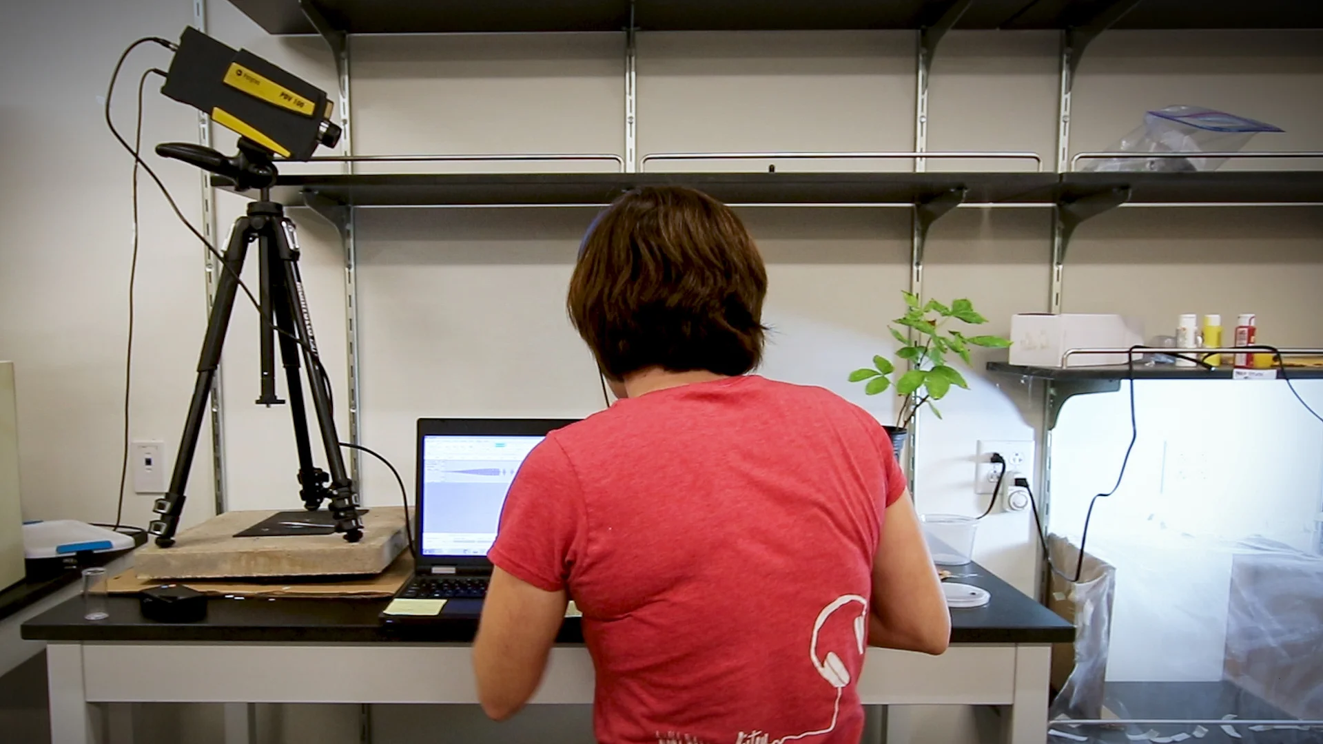 fflab_videostill3.jpg