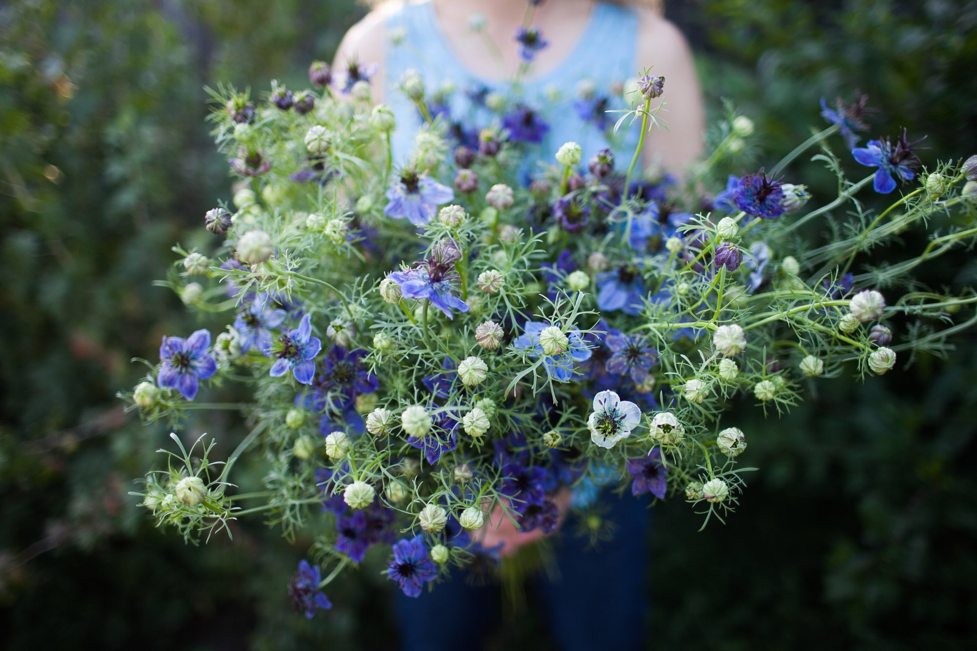 flower-farmer-nigella.jpg