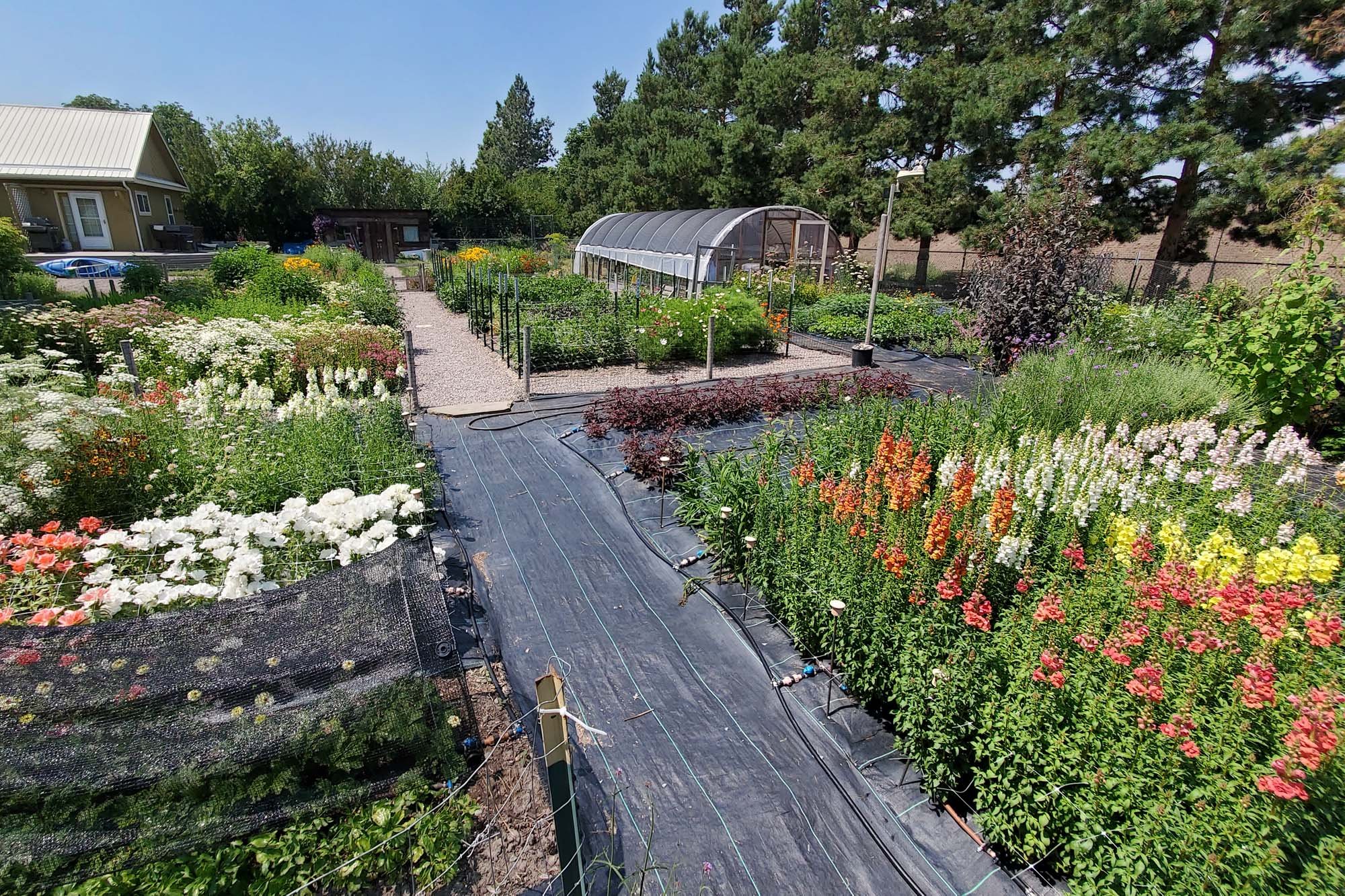 About Us Flower Farm Kalispell, Montana — Flathead Farmworks