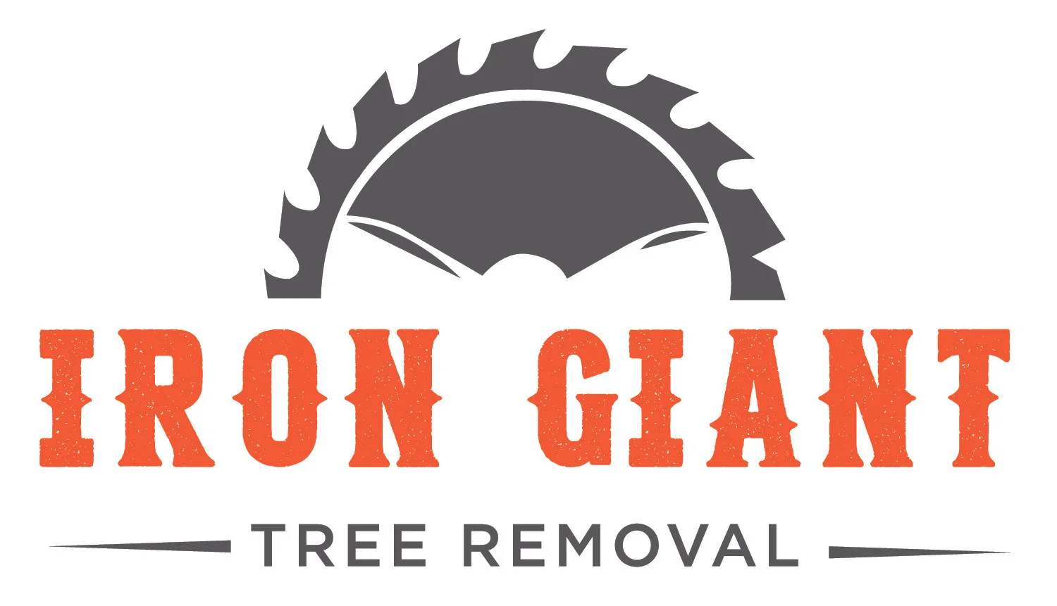 Iron Giant - Logo.jpg