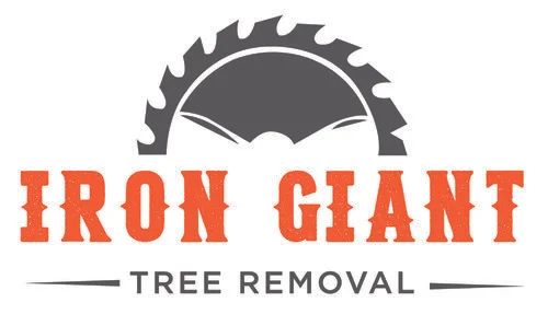 The Joy Run 0.5k title sponsor! www.irongianttree.com 913-498-9310