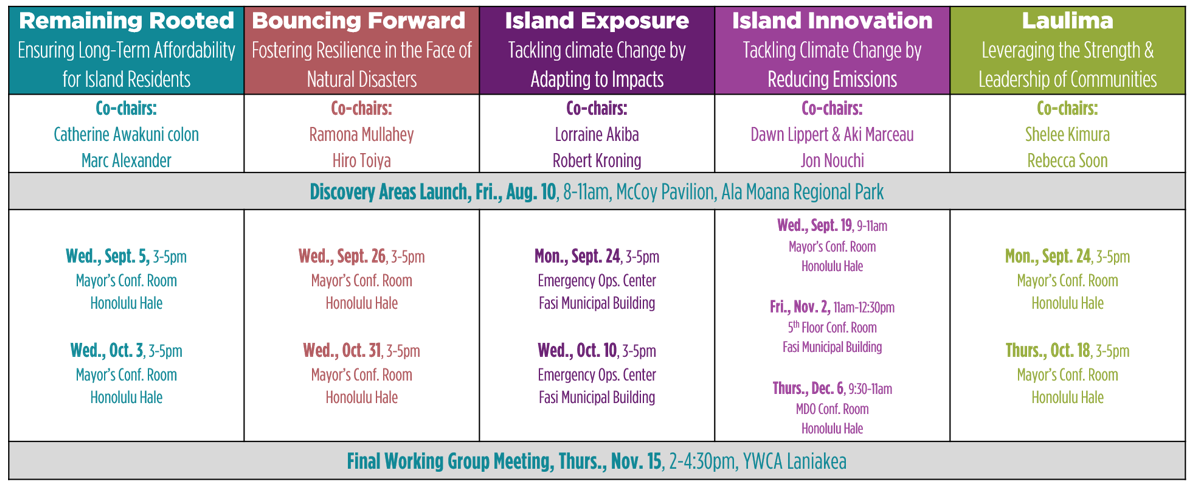 The intensive timeline for the dedicated volunteer Working Group participants. Additionally, 17 of the 22 Resilience Strategy Steering Committee members (or their representatives) were Working Group participants, with 1 serving as a co-chair.