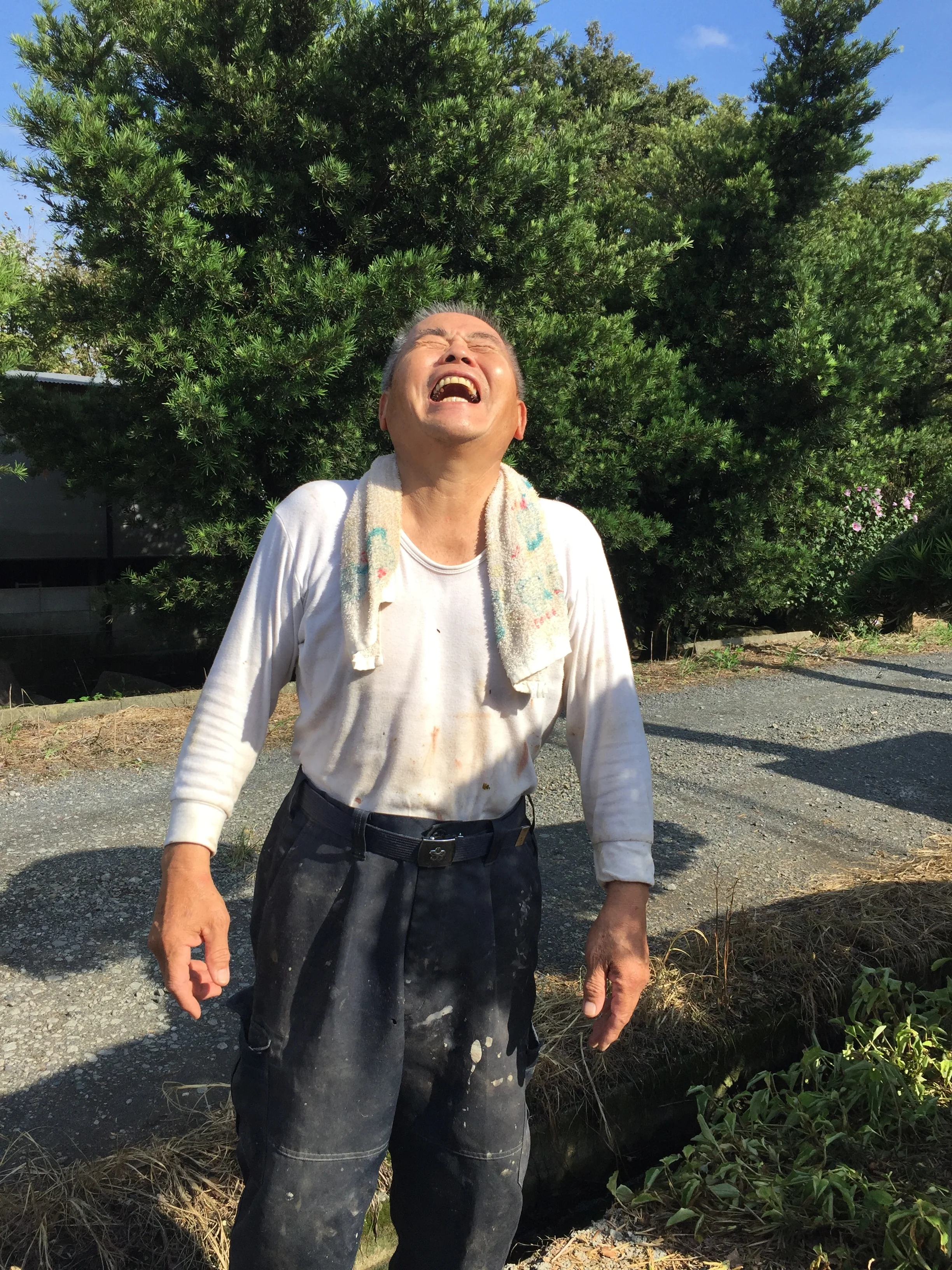 Fukudome Small Farm (Copy)