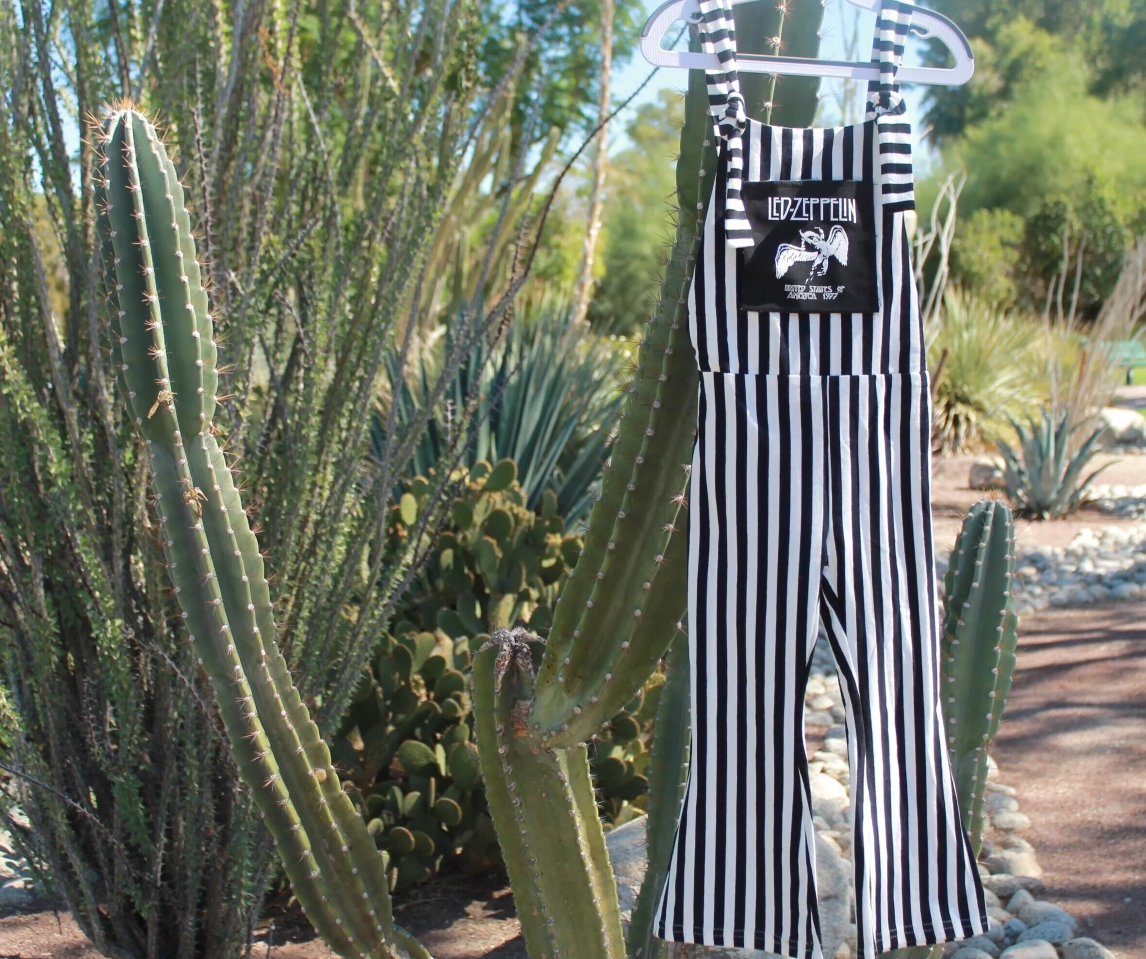 234805B2-1332-450B-9758-ABF6FEA2BD4B