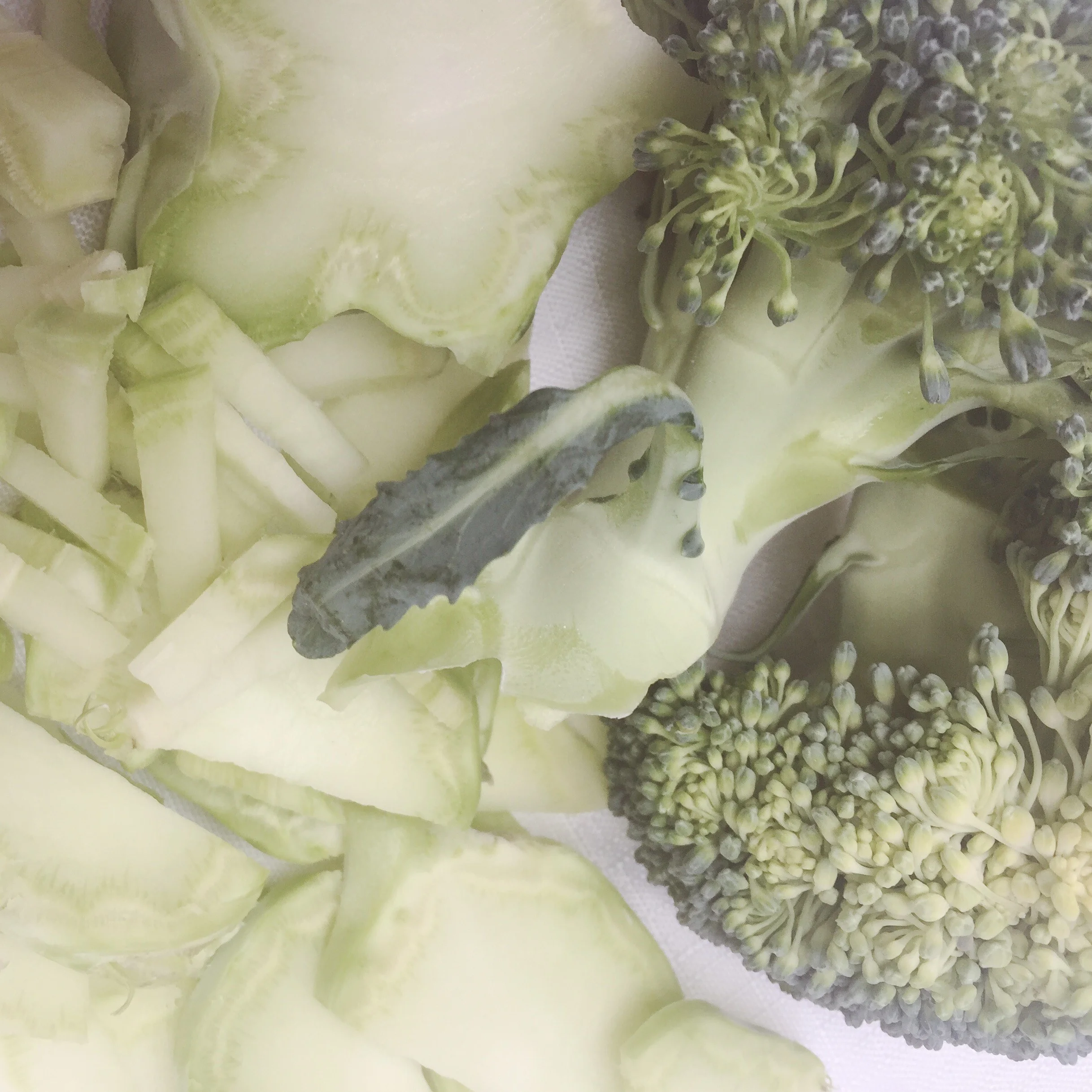 Broccoli.jpg
