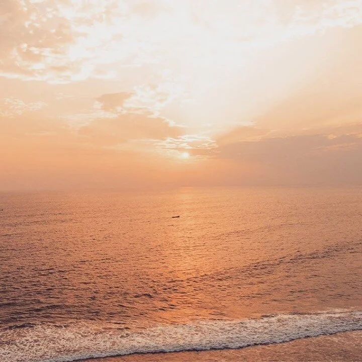 Rant ~ Hungry for plastic?⠀⠀⠀⠀⠀⠀⠀⠀⠀
Next time you are hungry and get the urge to eat seafood, why not just reach for your wallet, grab your credit card, and have a nibble. Sounds odd, doesn&rsquo;t it?  We apparently consume the equivalent of a credi