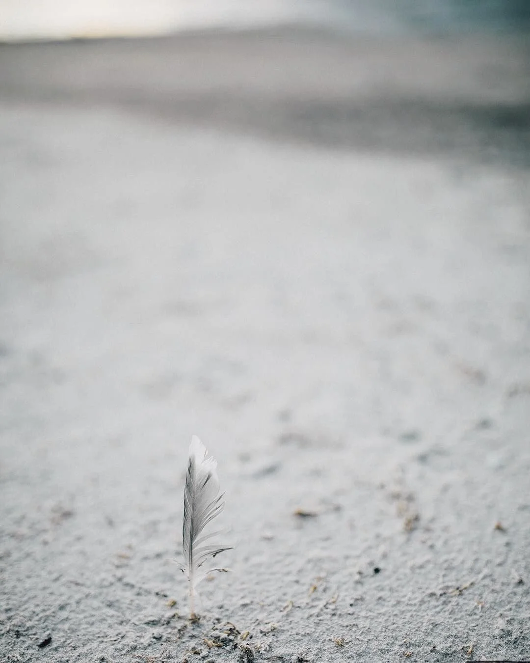 Space and Mental health ~ World mental health day is today. It&rsquo;s often hard to appreciate where you are at while you are in a situation or seek help. Often not easy to admit or realise, now and at any time. Mental health takes space, time and r