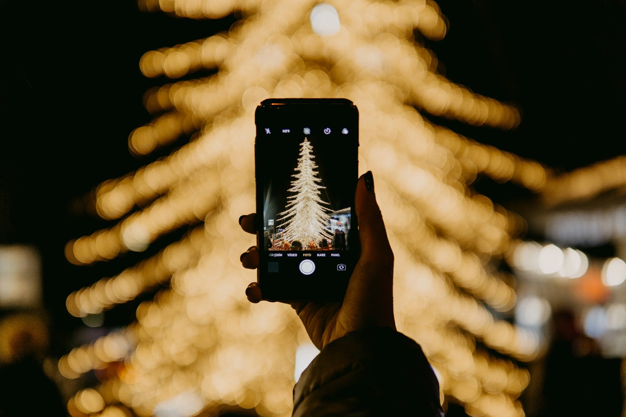 Guilford Tree Lighting