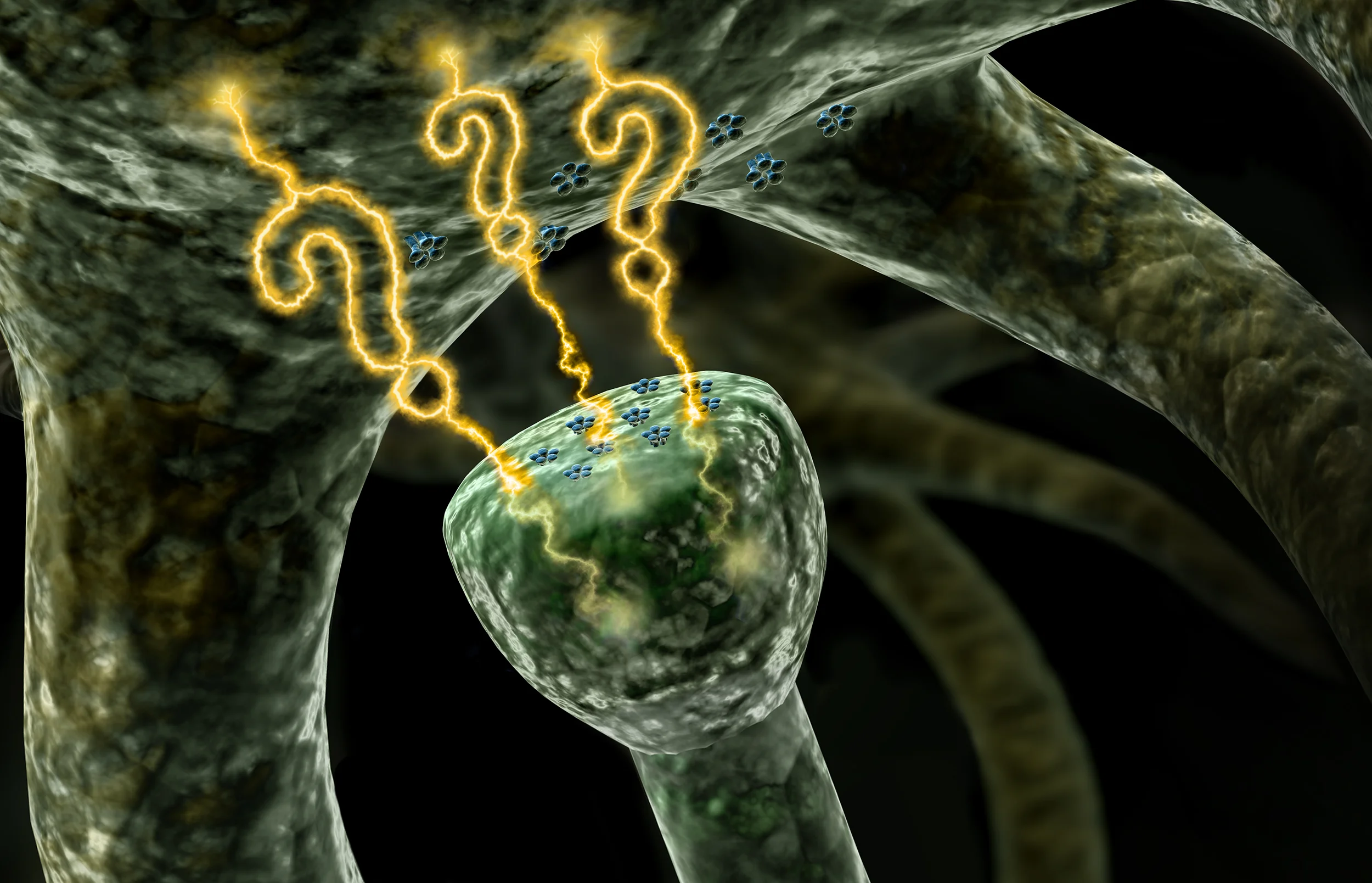 Brexpiprazole - NeuronTransmit
