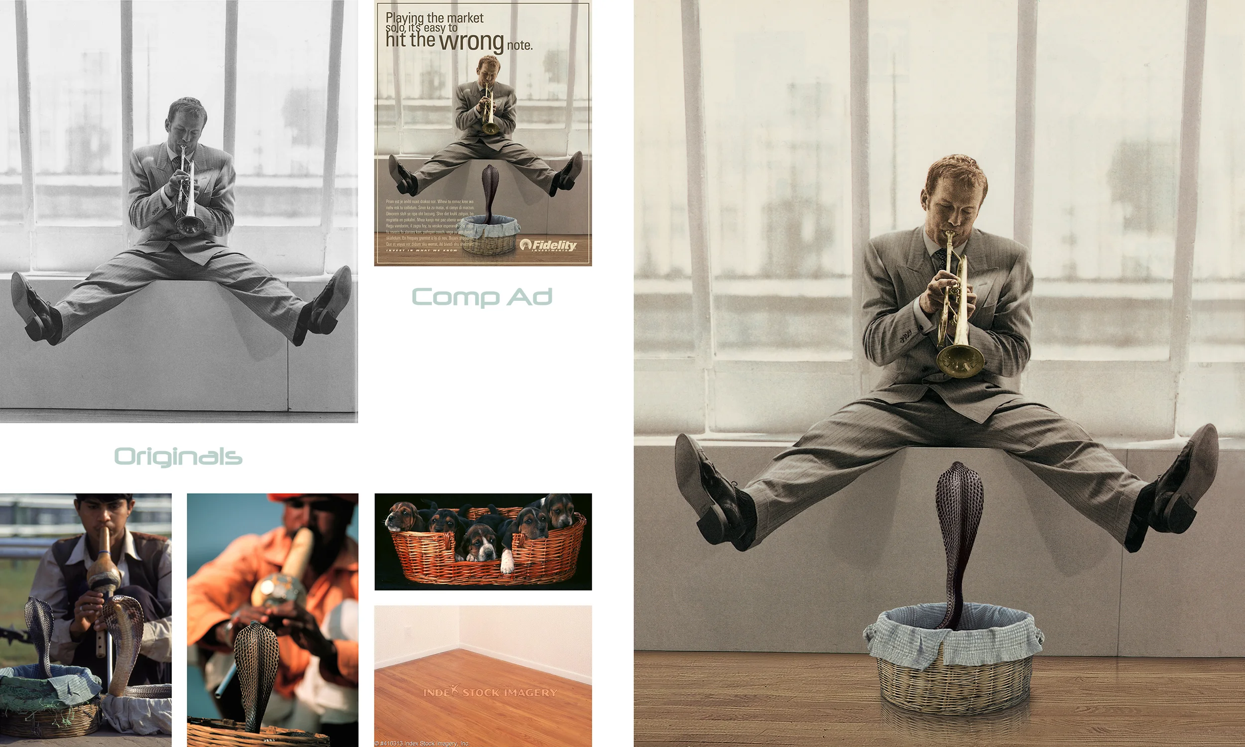 Fidelity Investments - SnakeCharmer